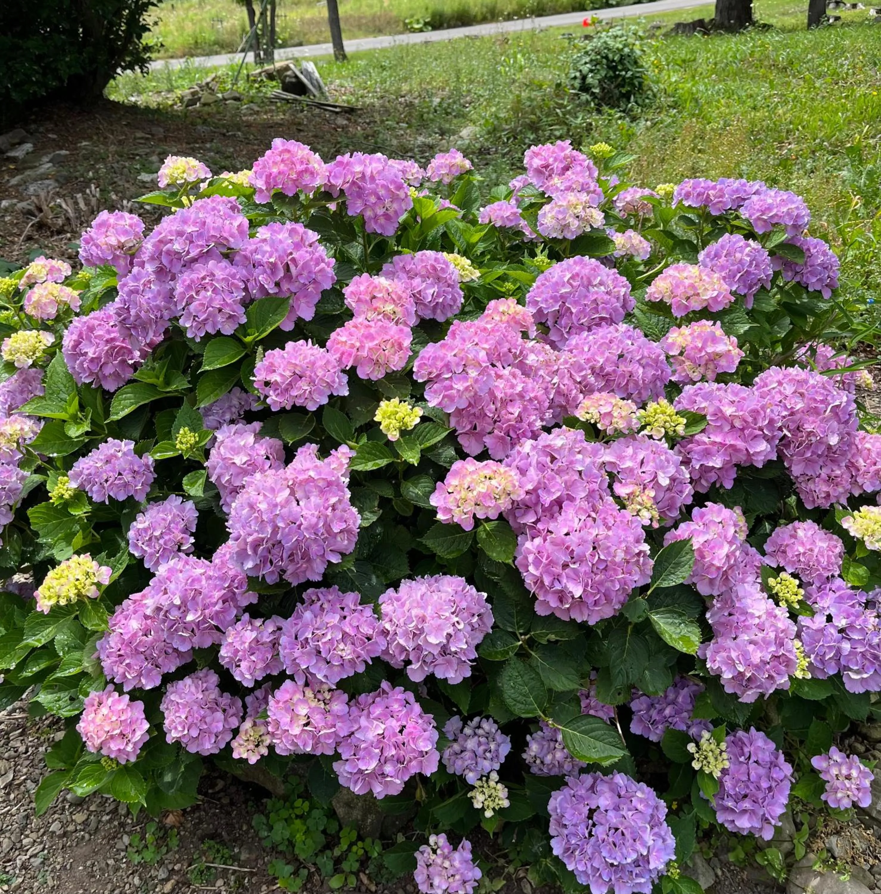 Off site in Cottage Morino Nakamatachi