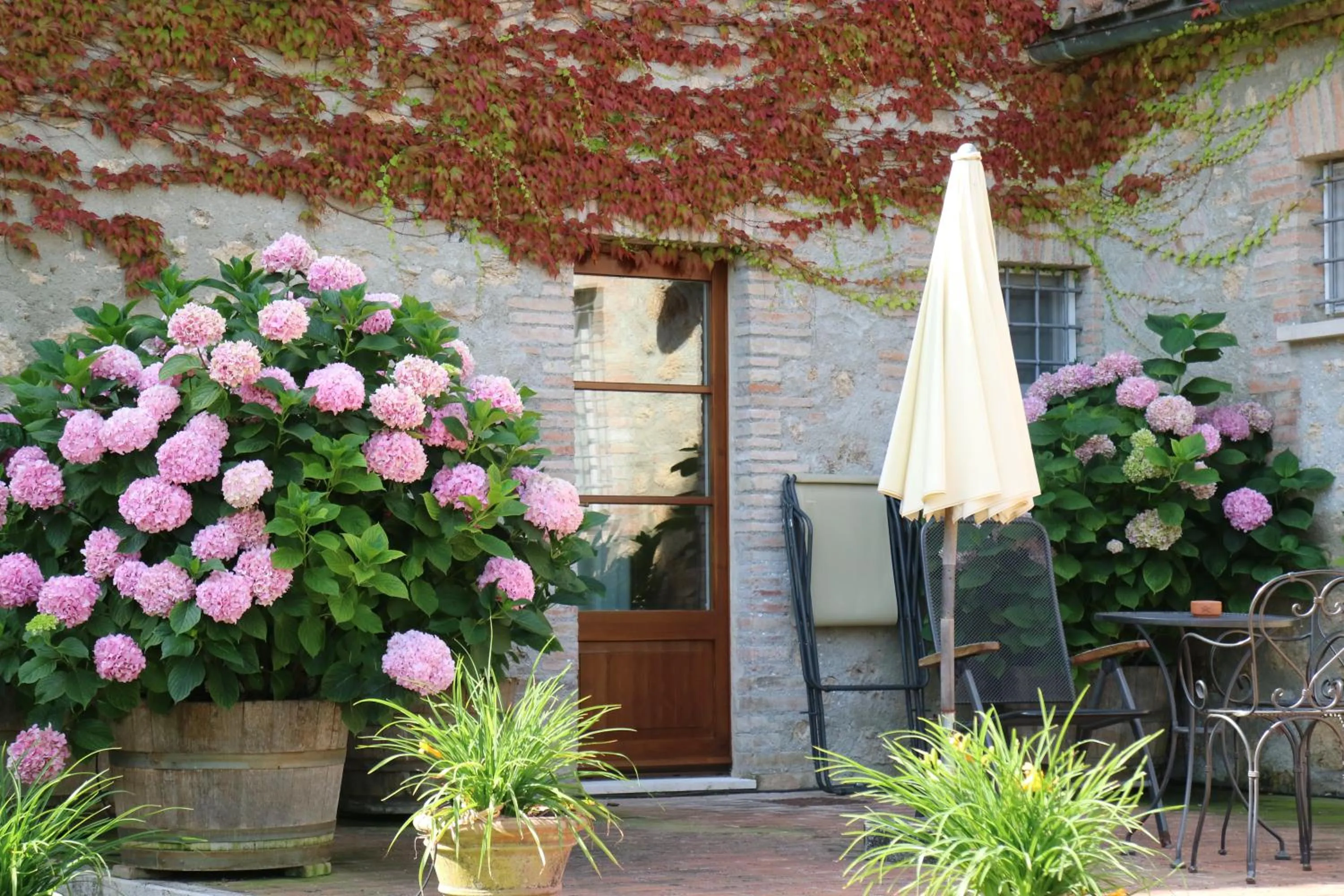 Garden in Agriturismo La Sovana
