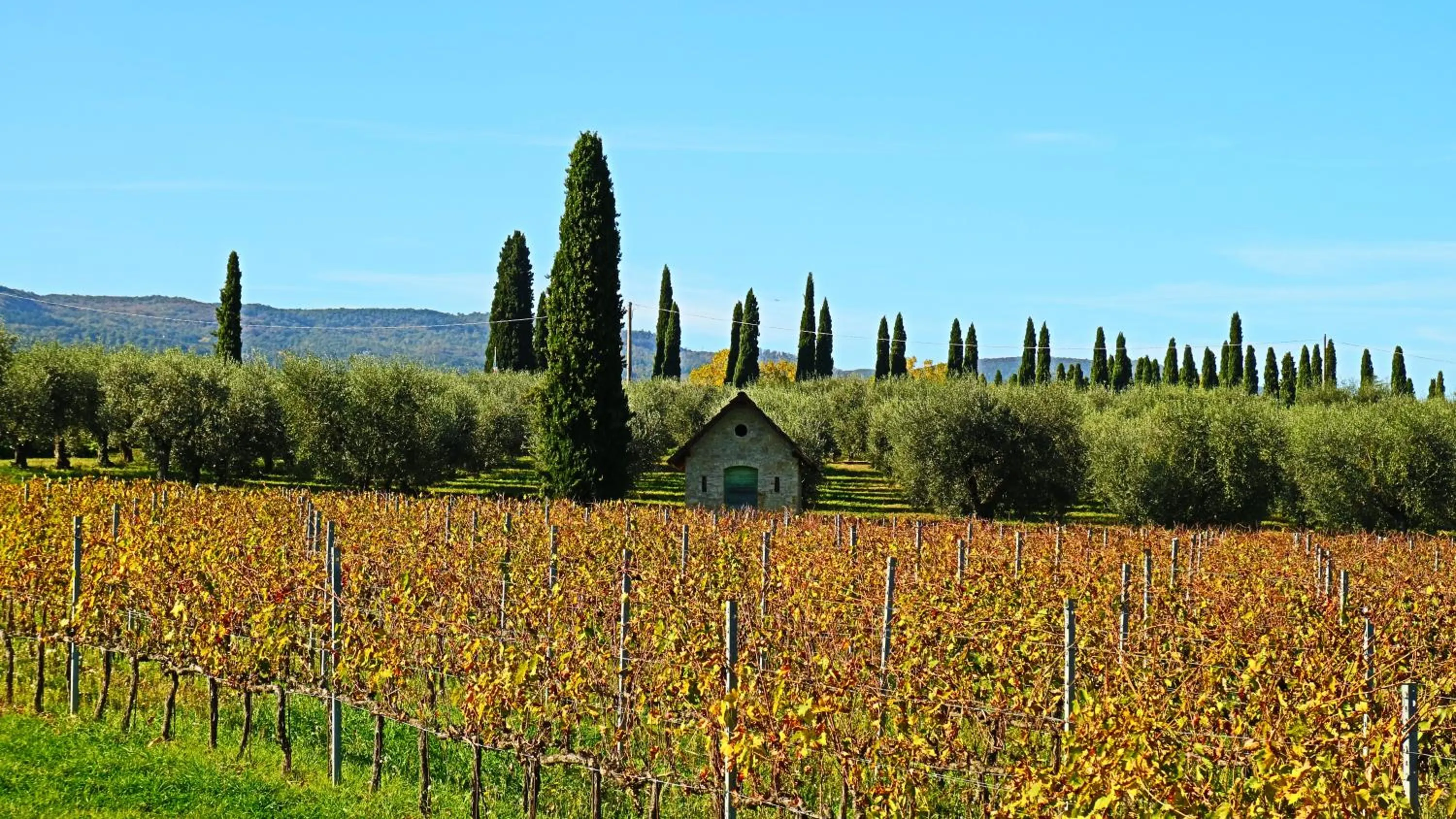Natural landscape in Agriturismo La Sovana