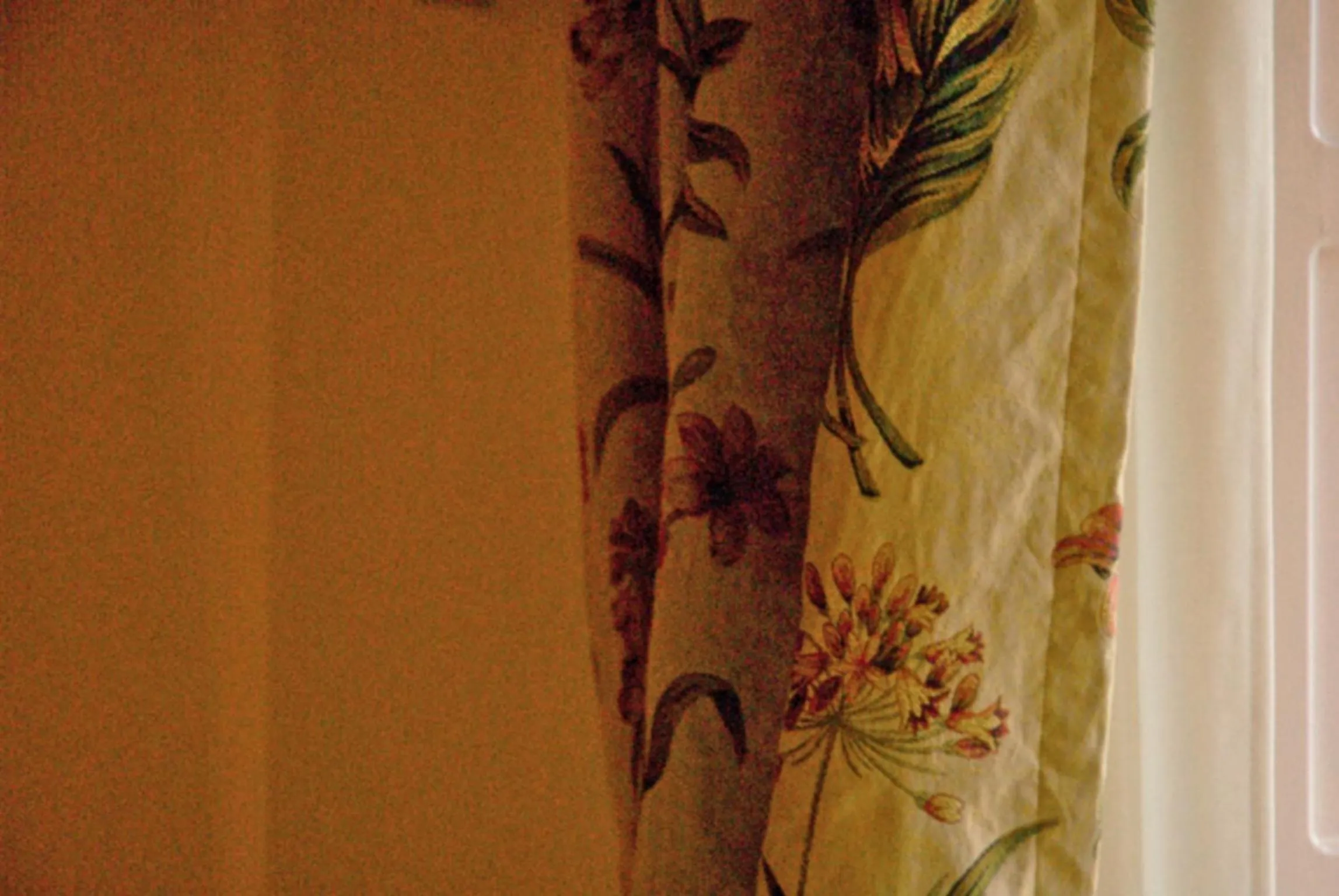 Other in Agriturismo La Sovana