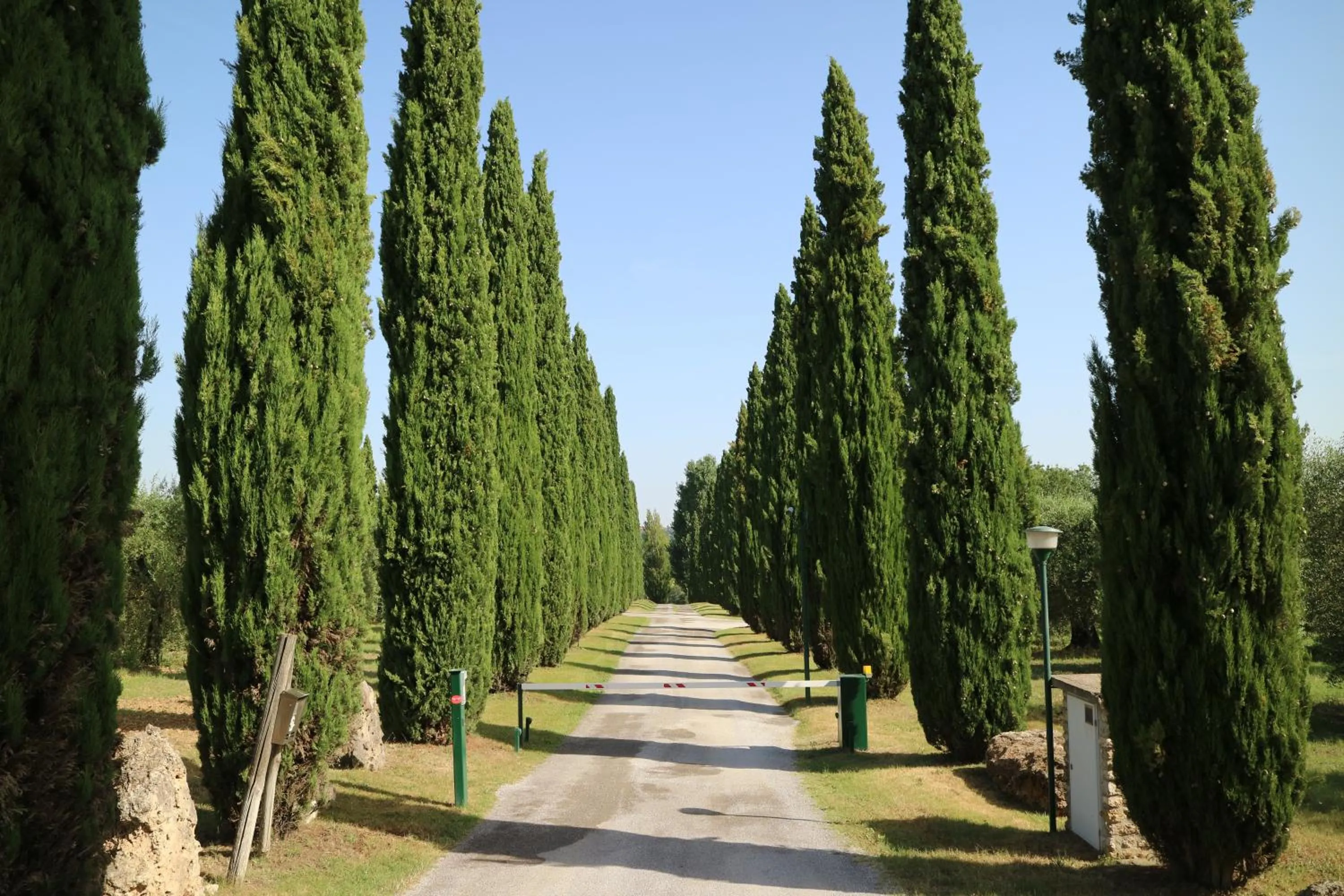 View (from property/room) in Agriturismo La Sovana