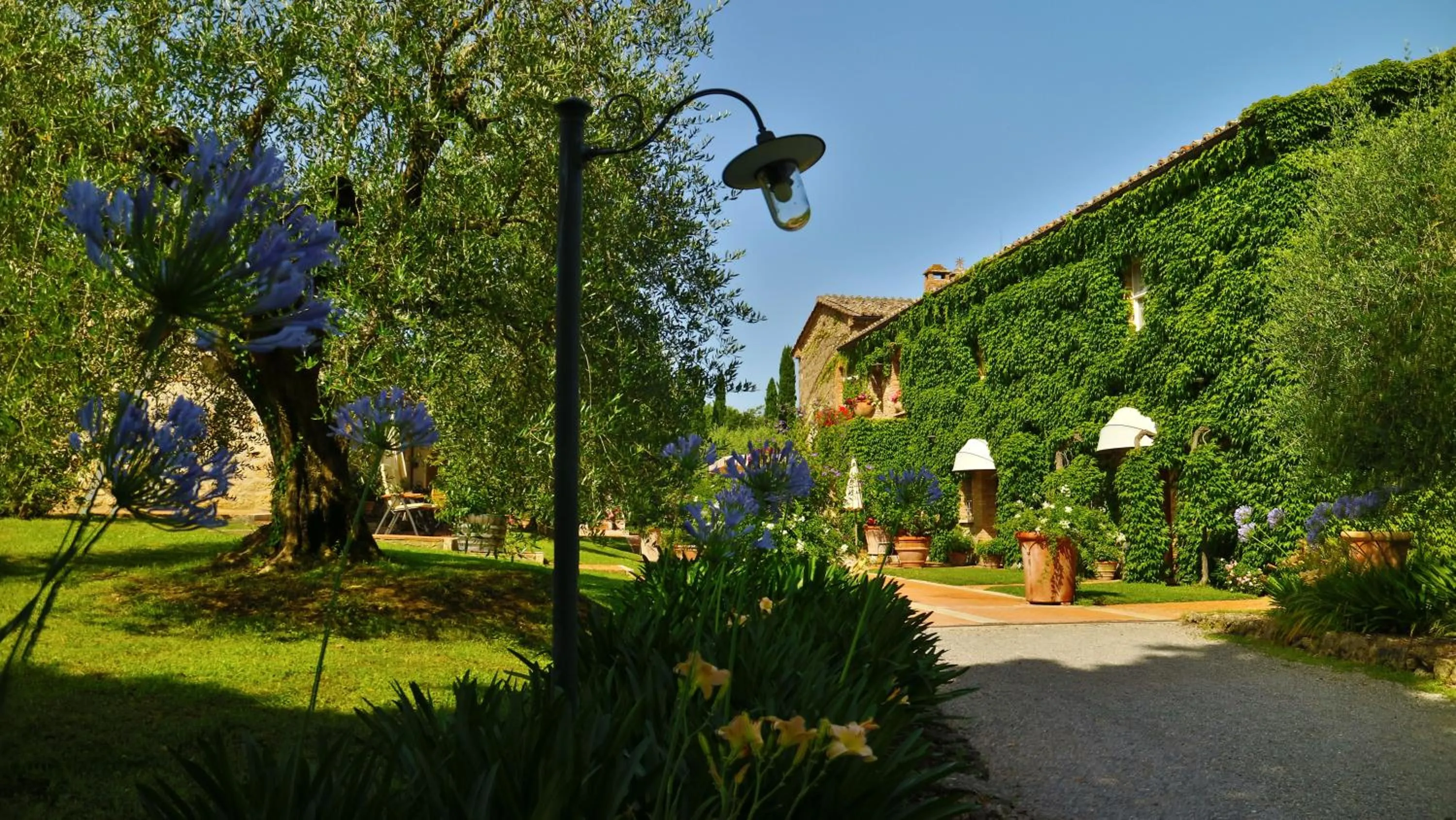Property building in Agriturismo La Sovana