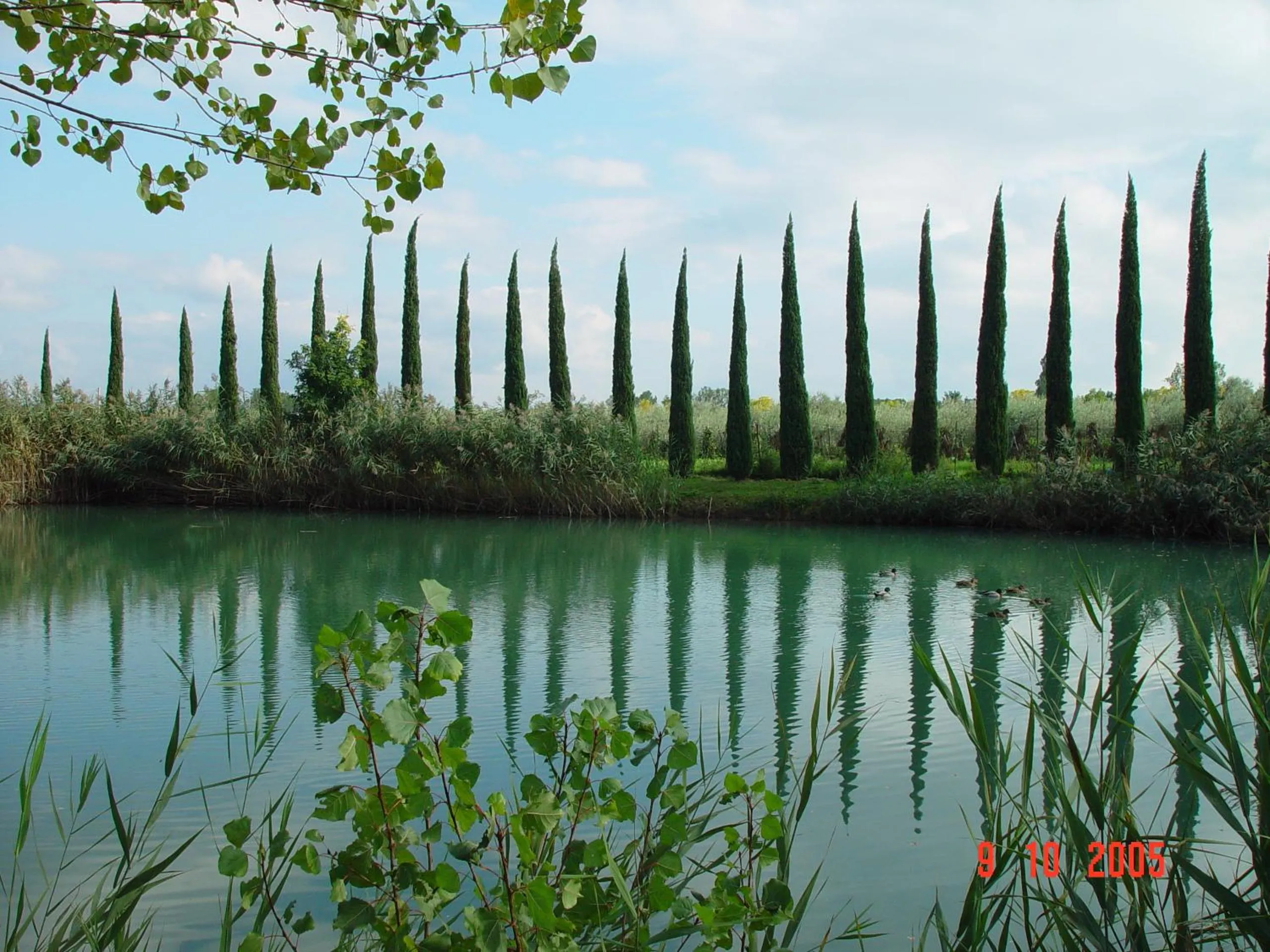 Other in Agriturismo La Sovana