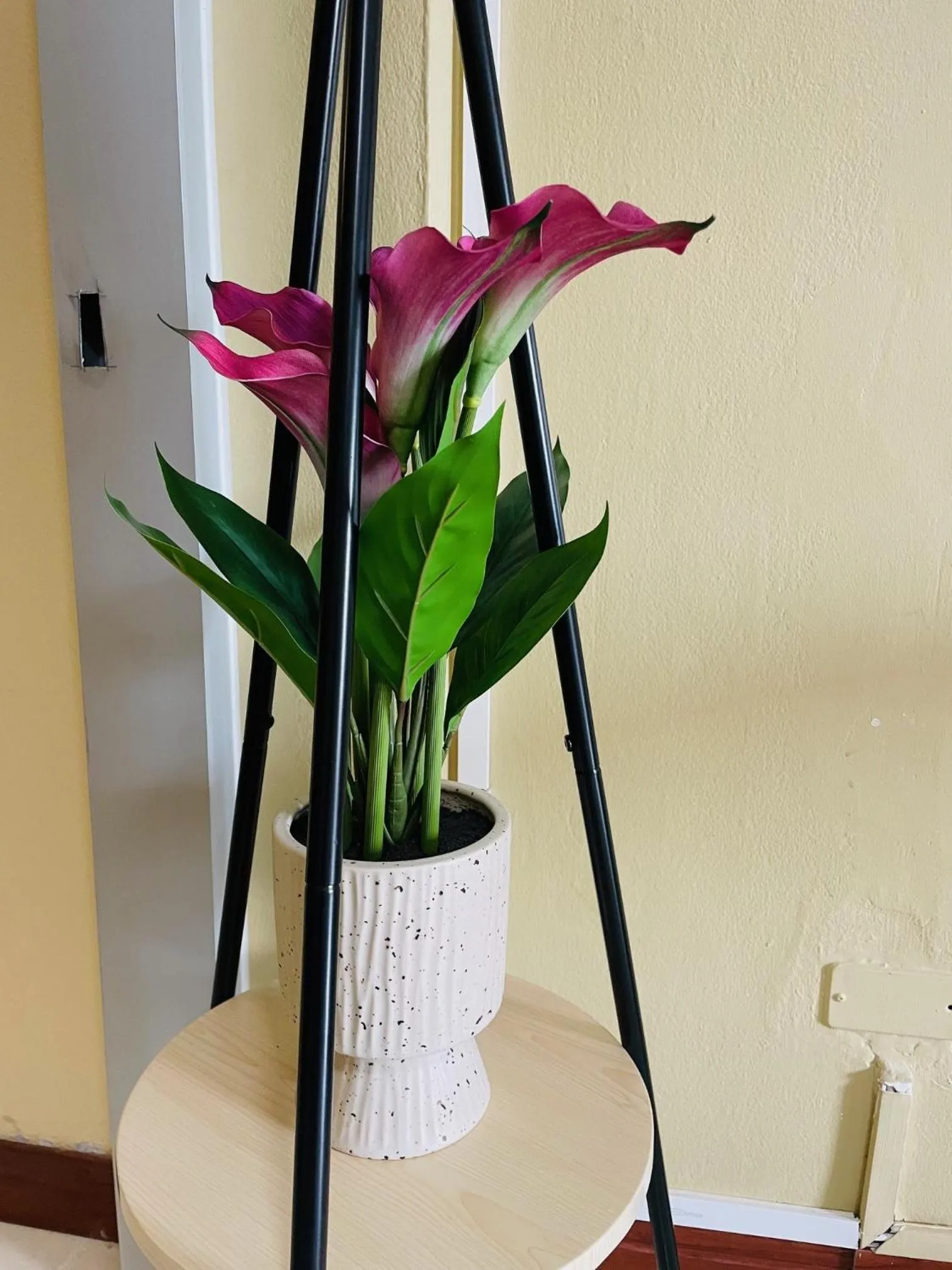 Decorative detail in Nawaporn Place