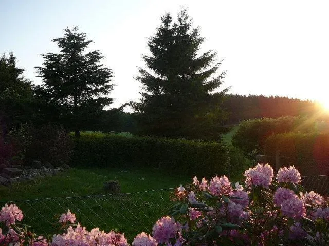 Garden in Haus Drei Tannen