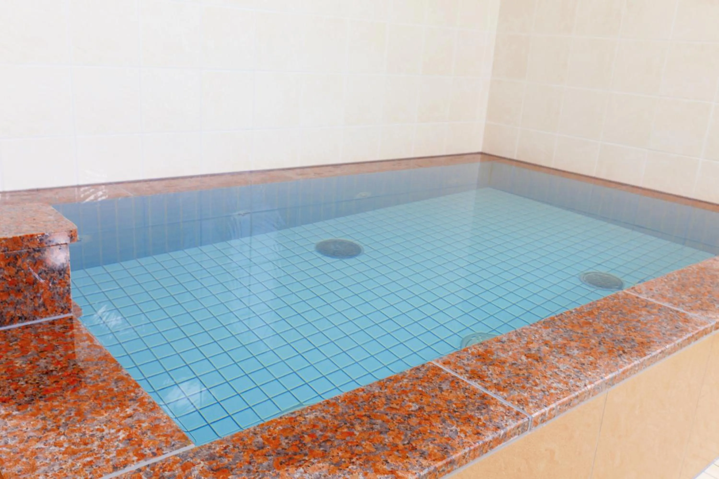 Public Bath in Hotel Wakamatsu Excel