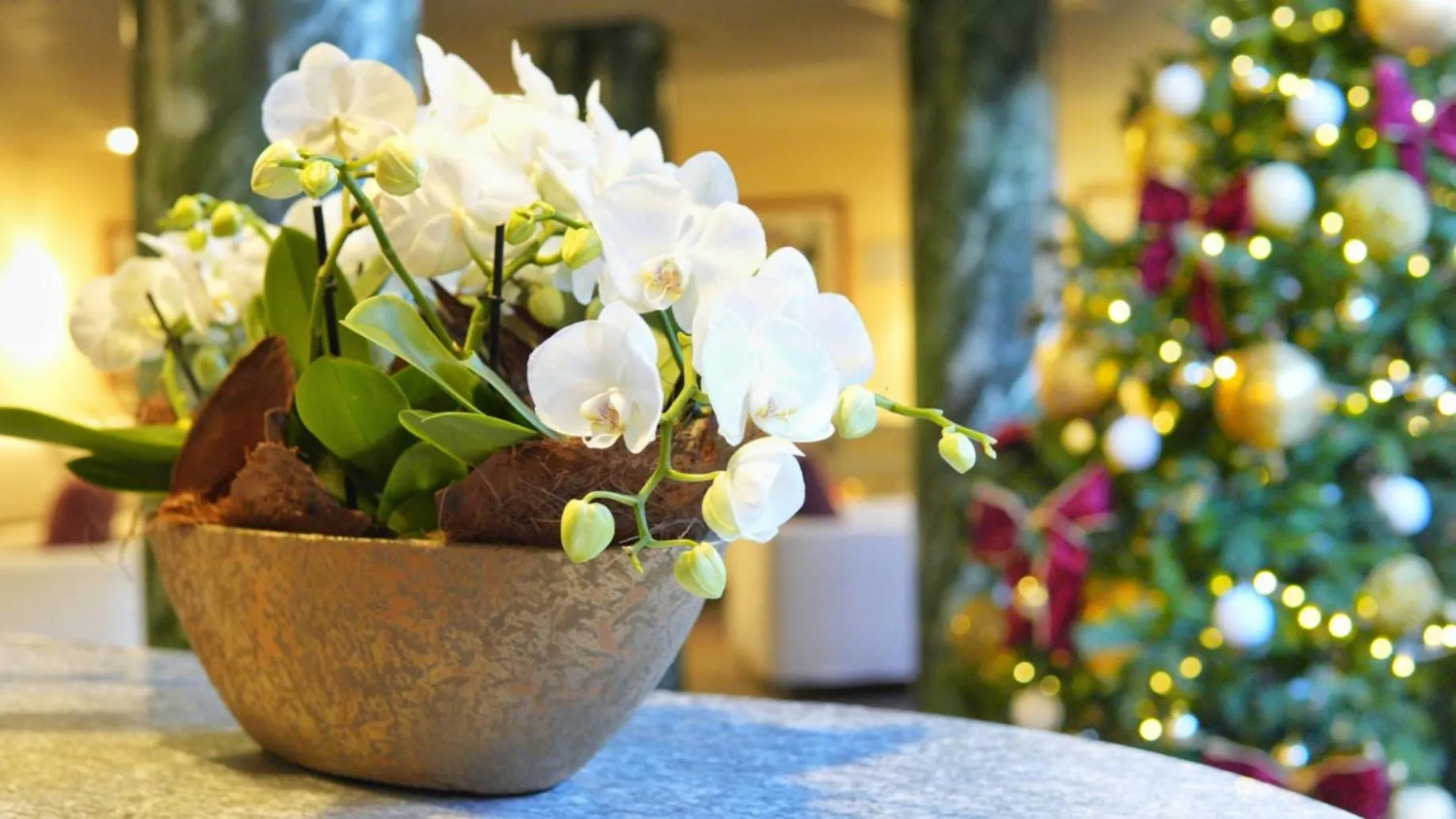 Lobby or reception in Residenza Del Sole