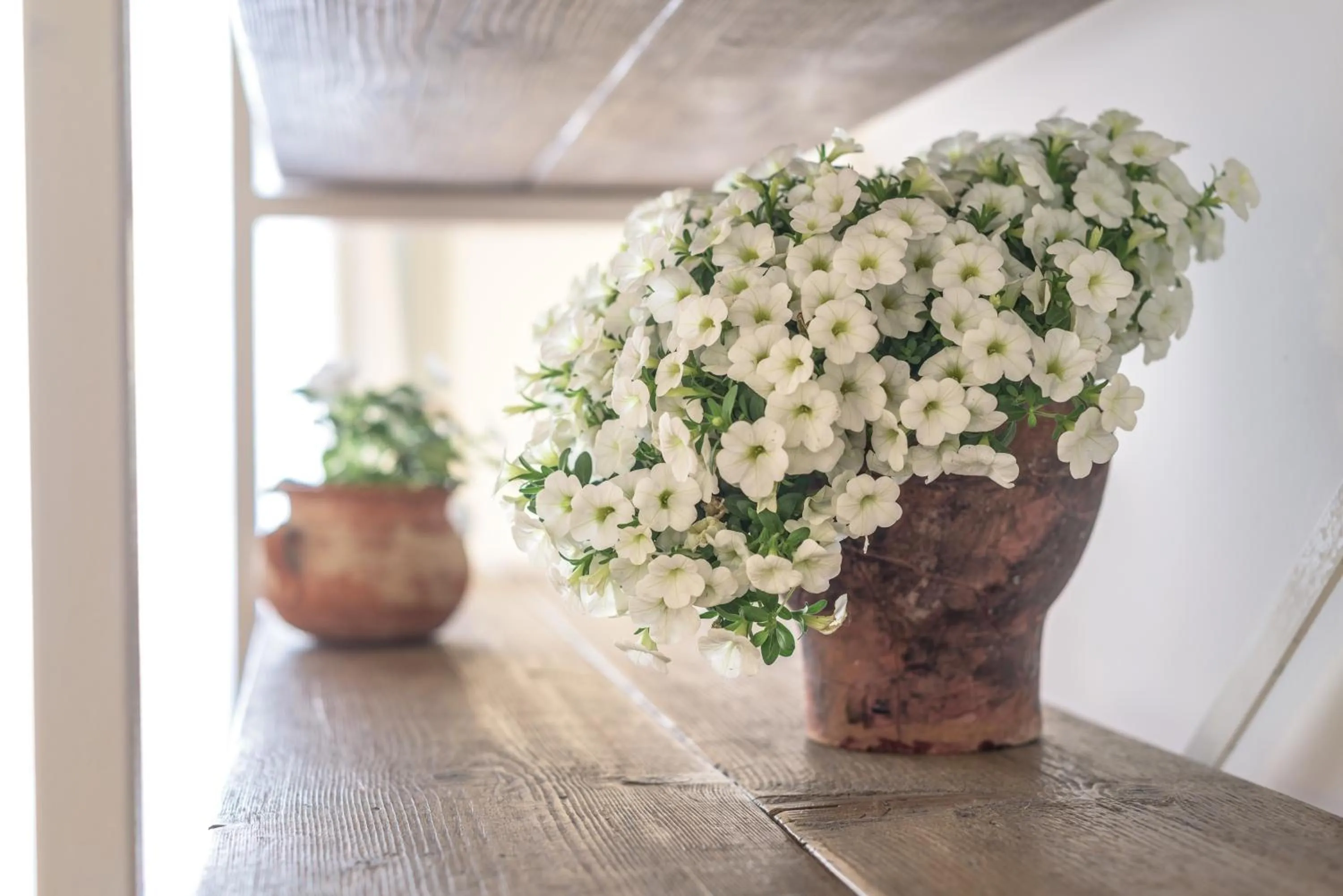 Li Pappi Antico Casale