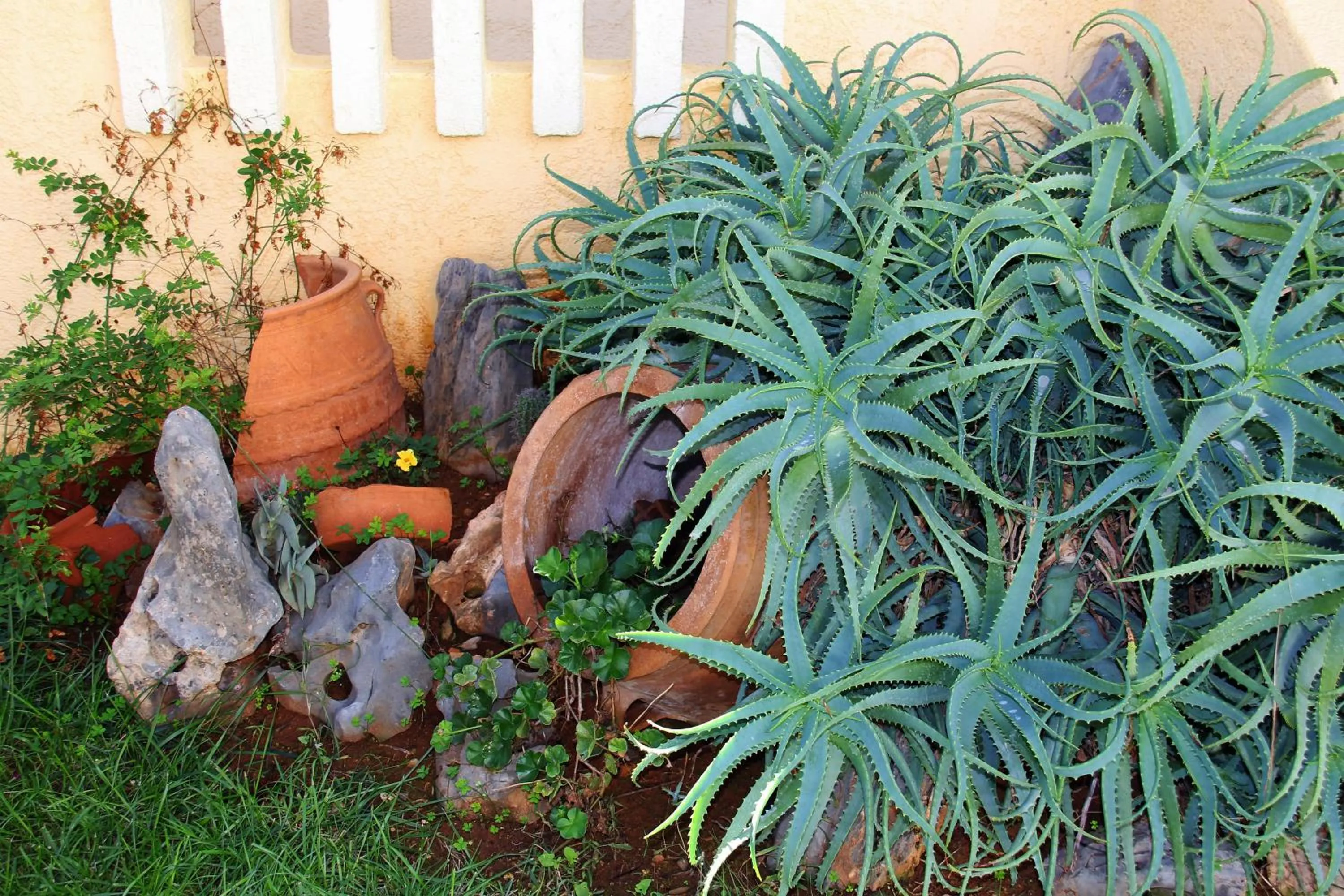 Garden in Lia Sofia Apartments