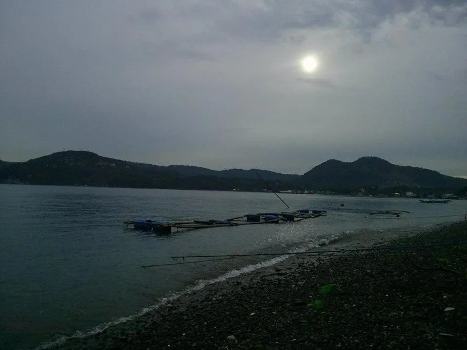 Anilao Scuba Dive Center (ASDC)