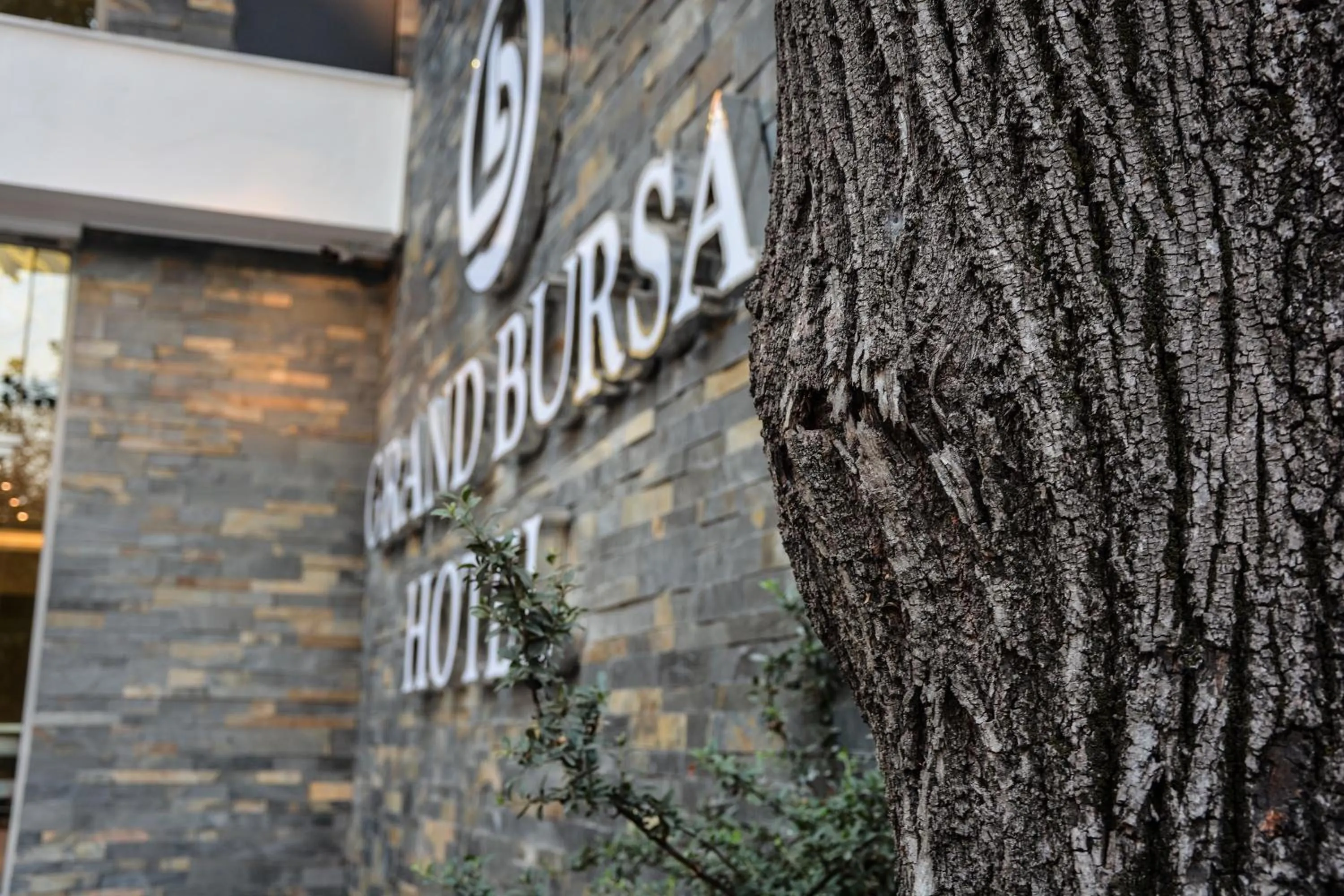 Garden in Grand Bursa Hotel