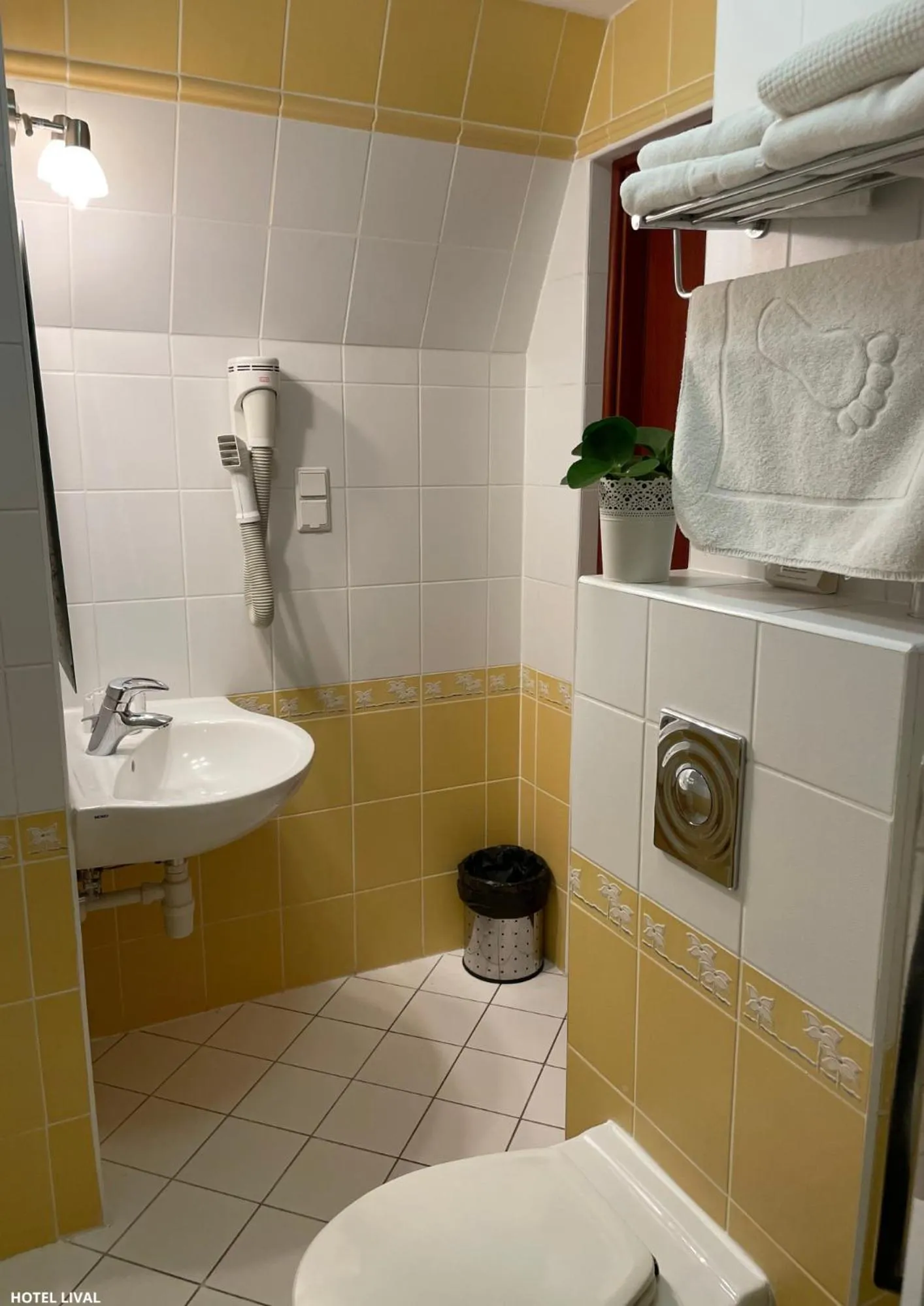 Toilet in Hotel Lival