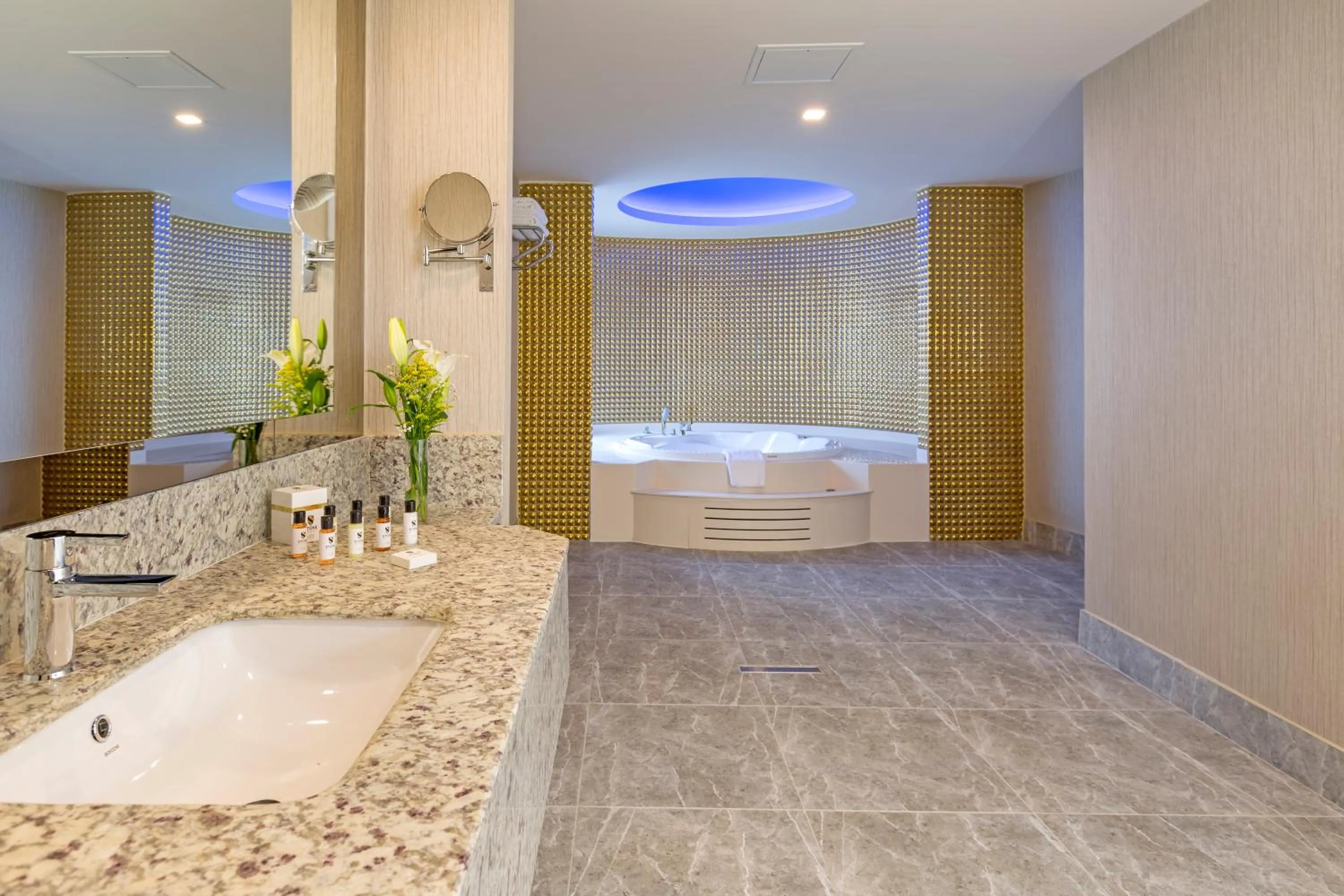 Bathroom in Royal Seginus