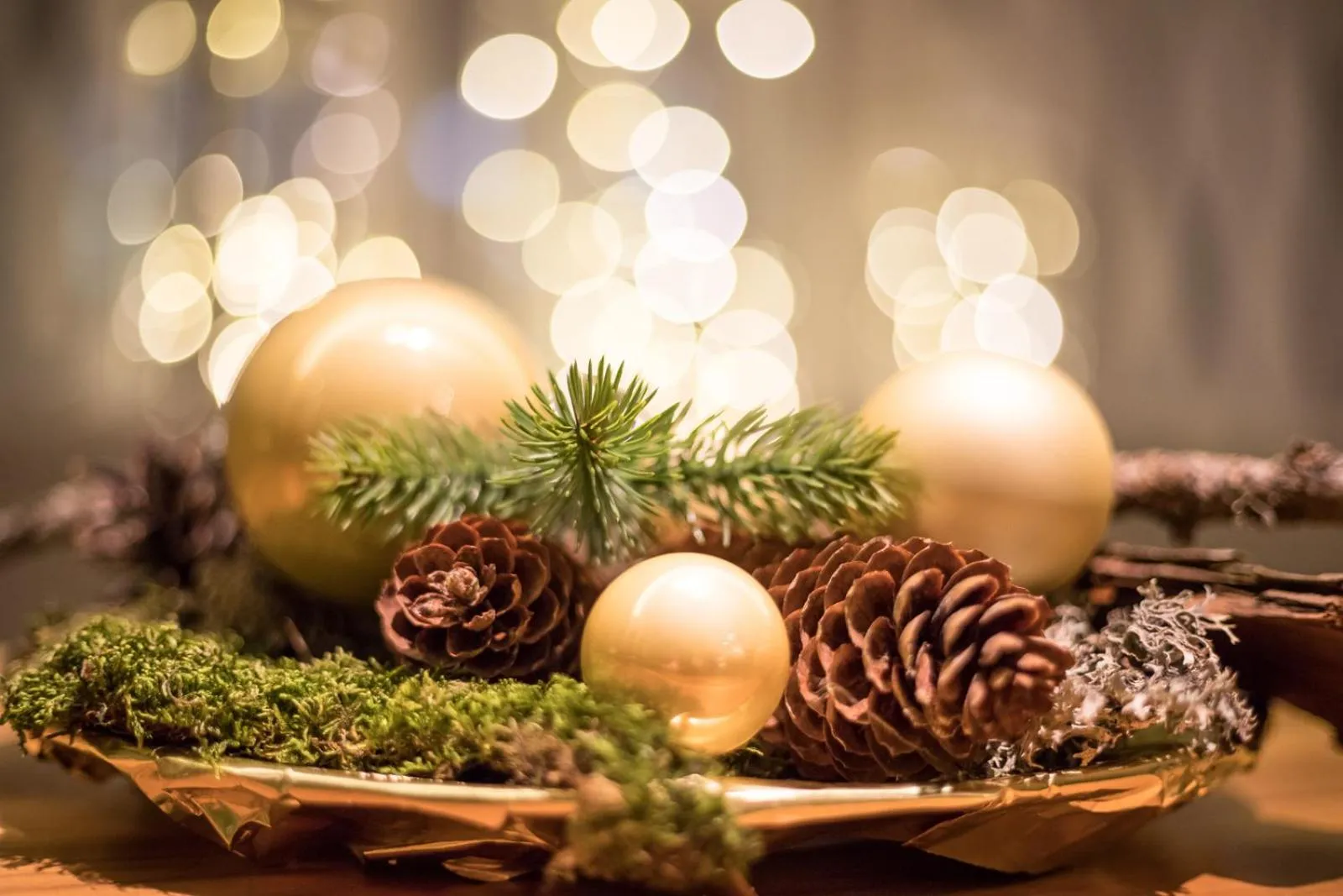 Other in Hotel Elefant