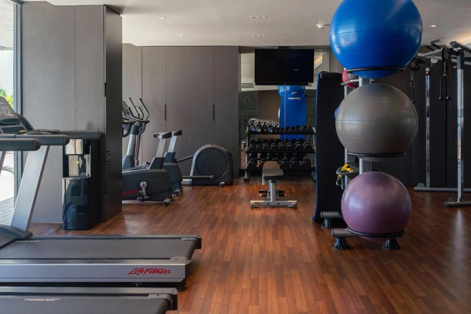 Fitness centre/facilities in Fort Young Hotel