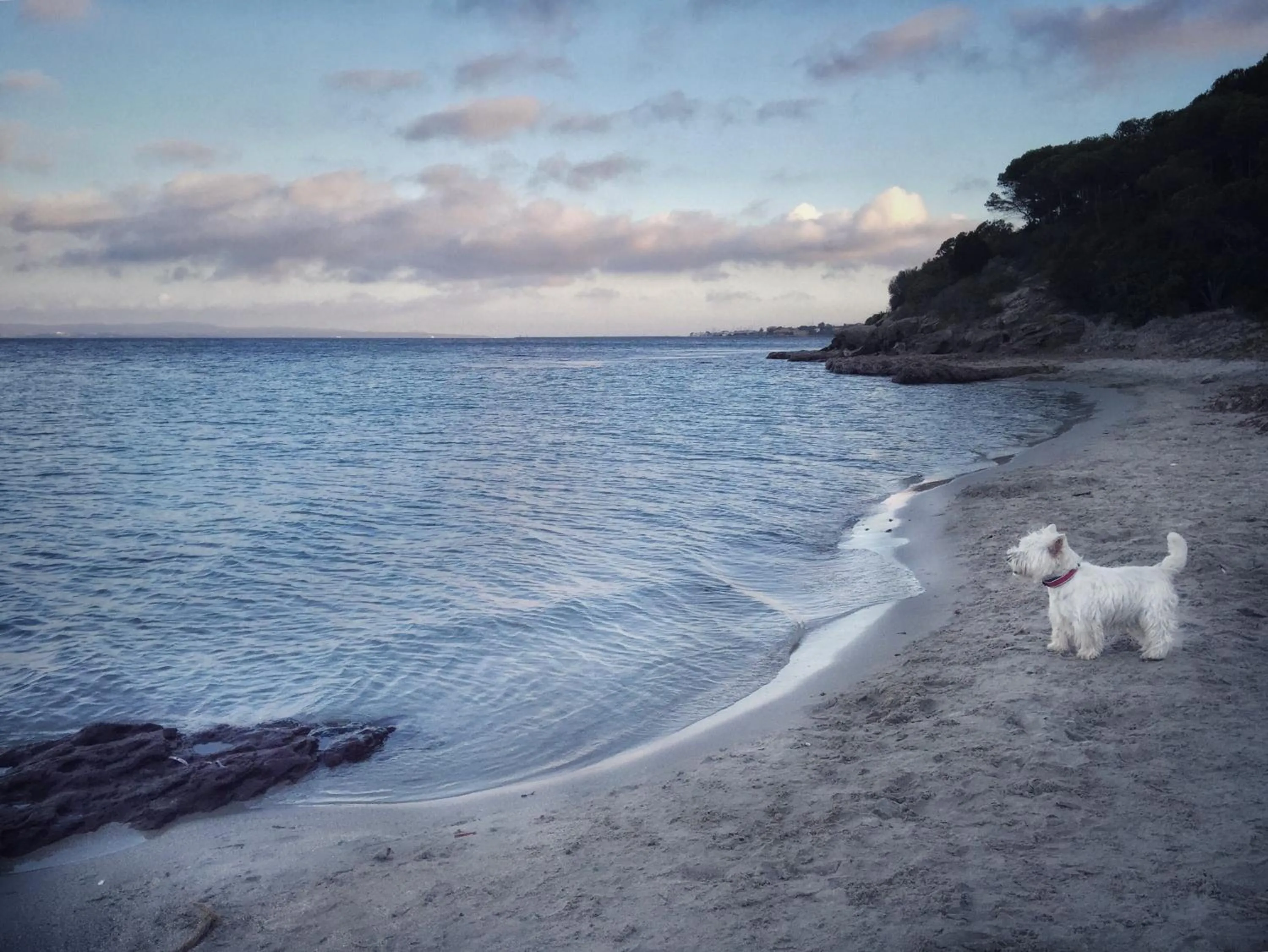 Natural landscape in Villa Brigida