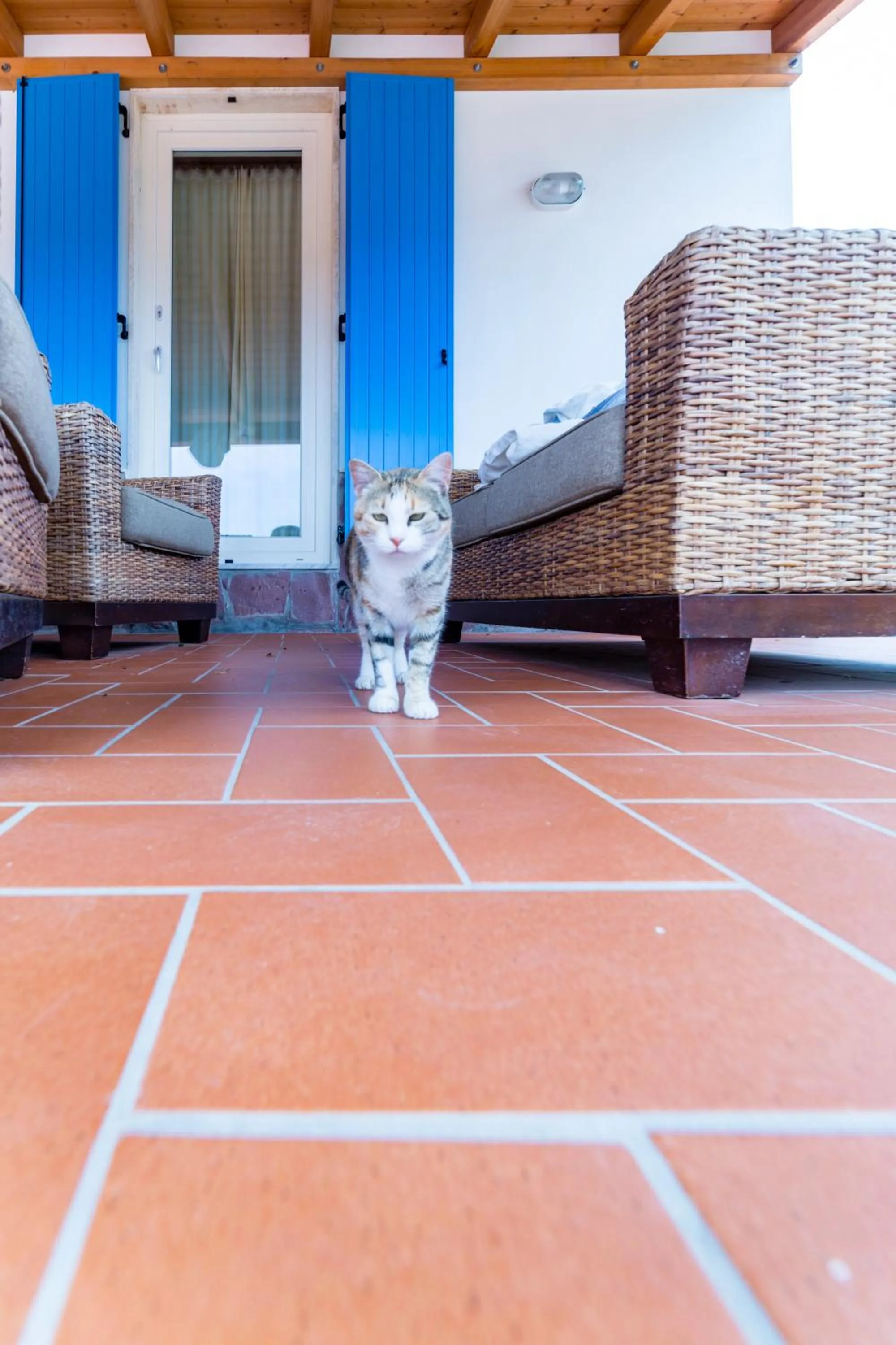 Patio in Villa Brigida
