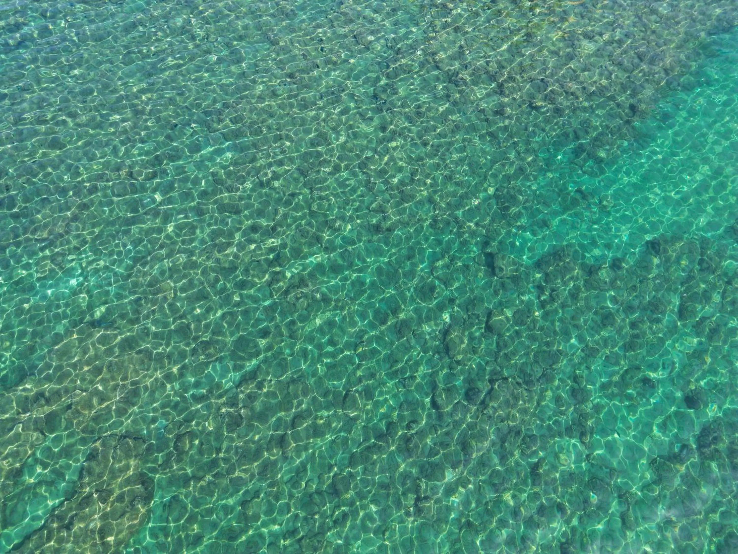 Sea view in Hotel Villa Sirio