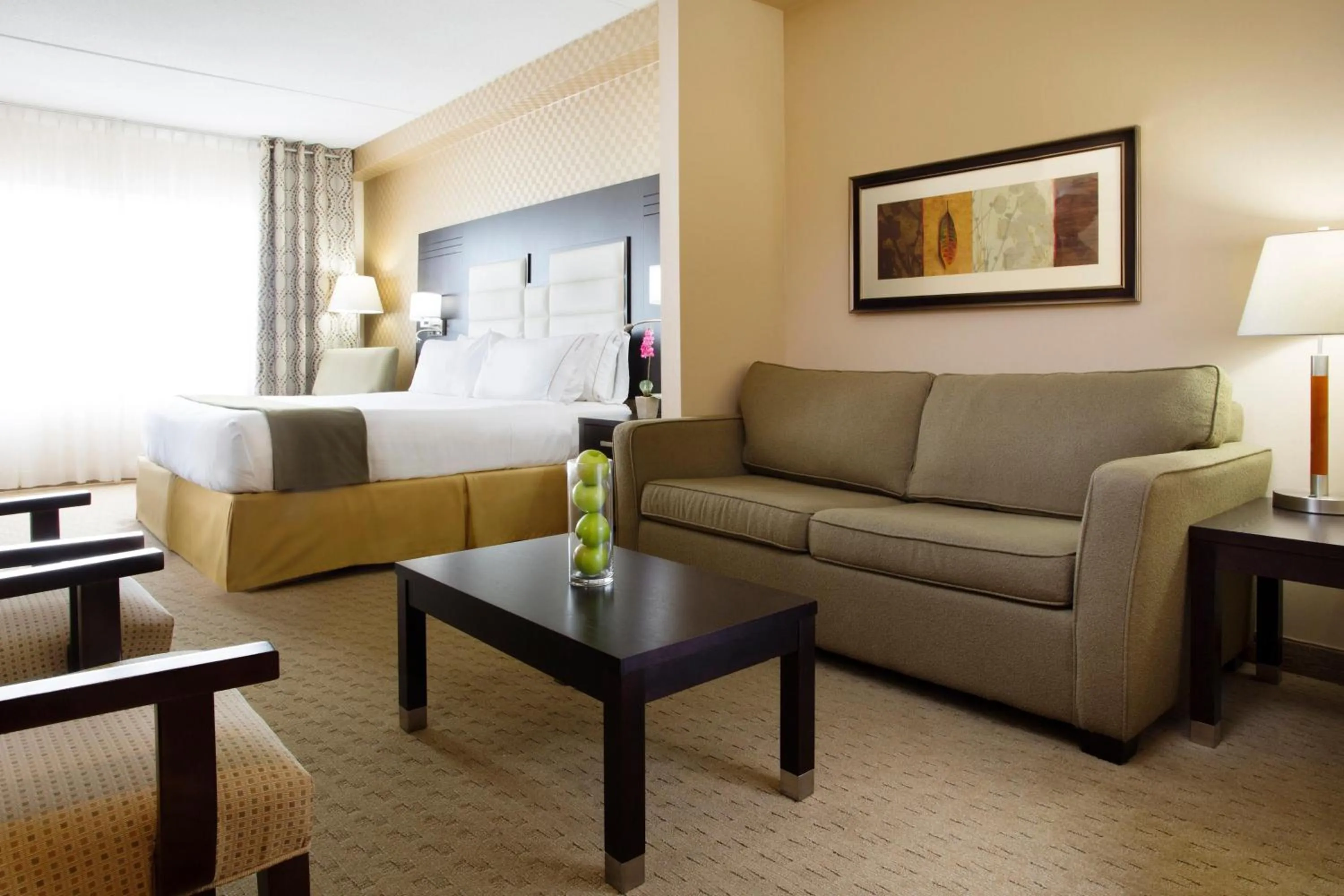 Holiday Inn Express & Suites Ottawa West - Nepean by IHG