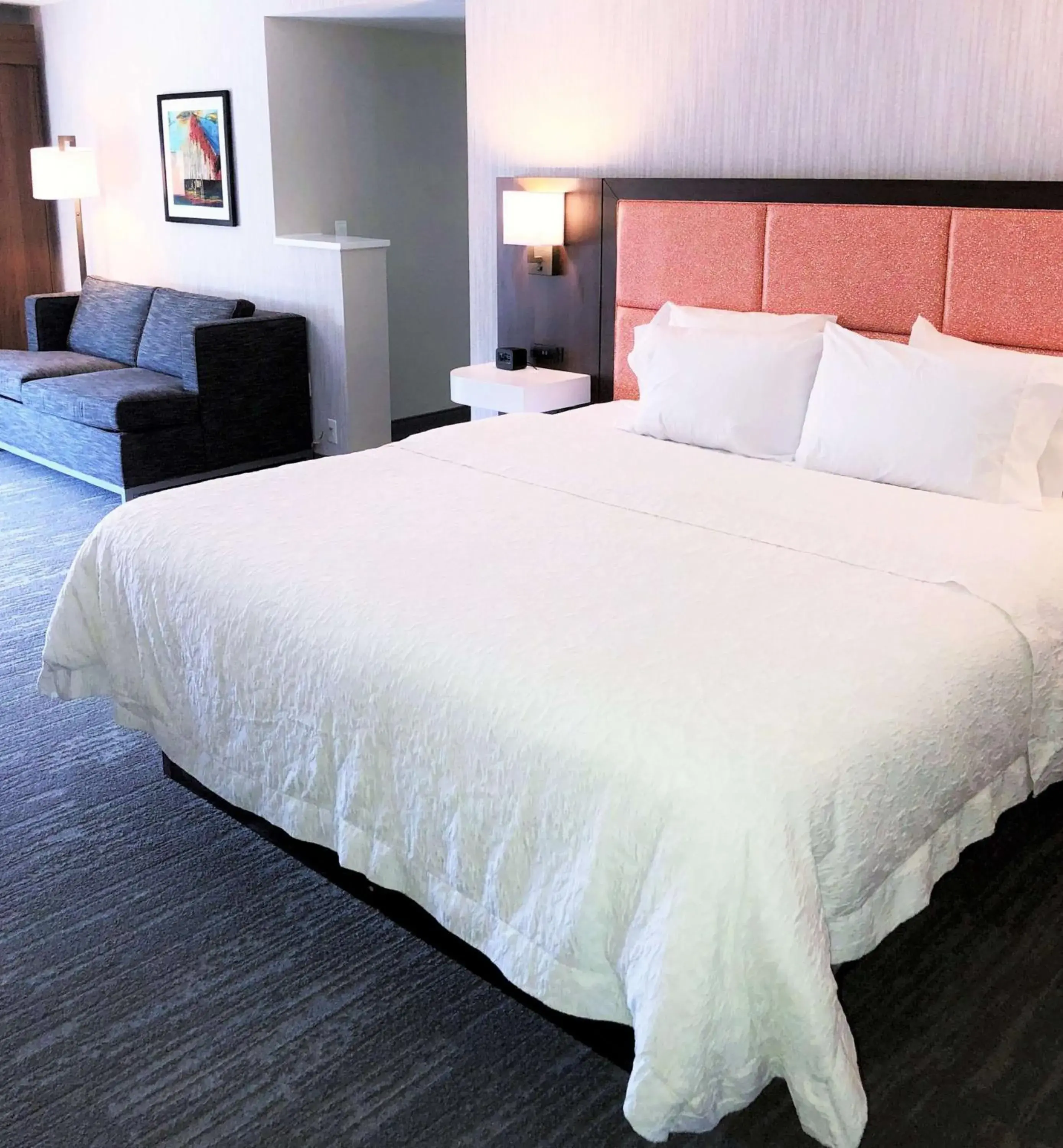 King Studio Suite - Non-Smoking in Hampton Inn Williamsport King Studio Suite - Non-Smoking in Hampton Inn Williamsport