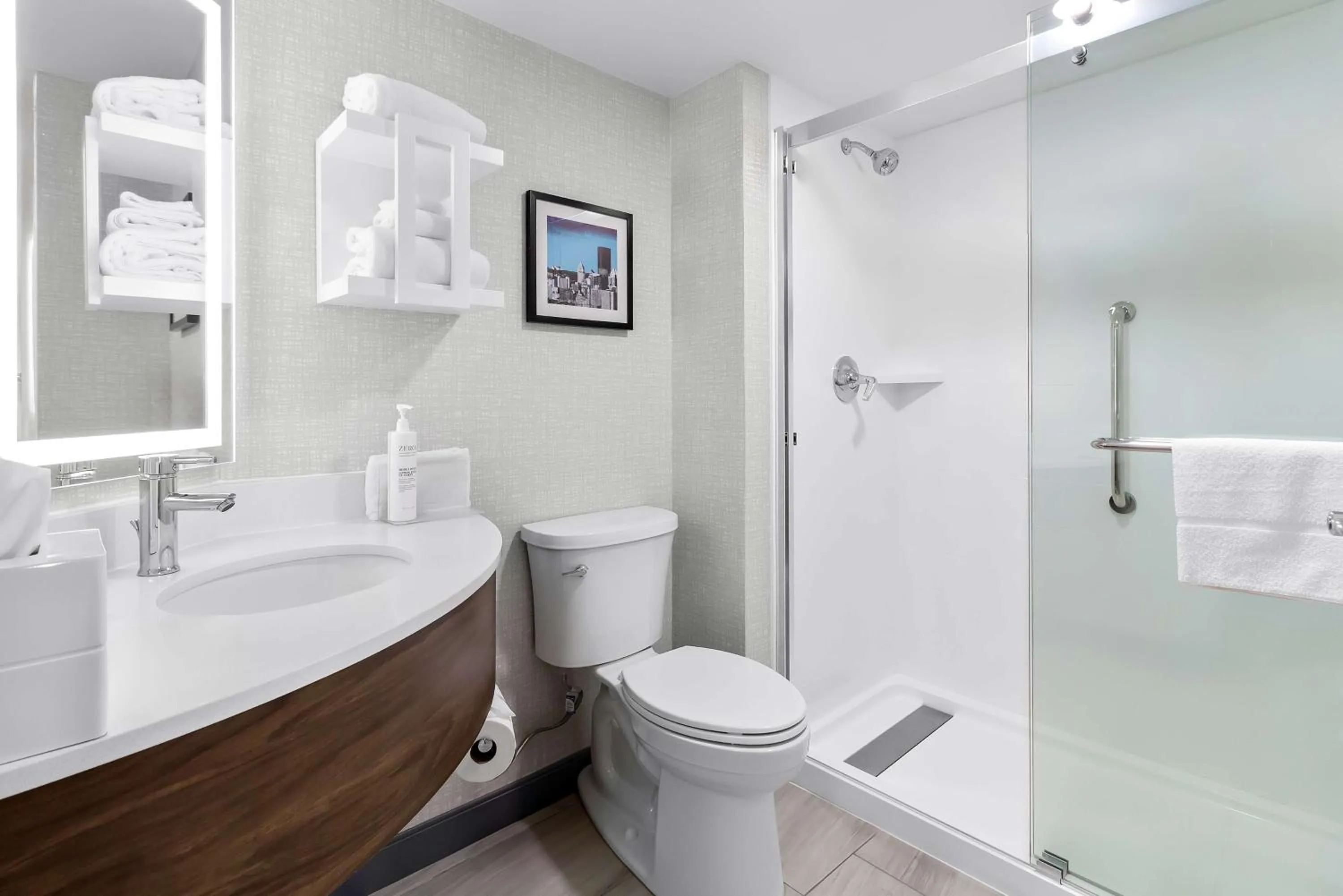 Bathroom in Hampton Inn Washington