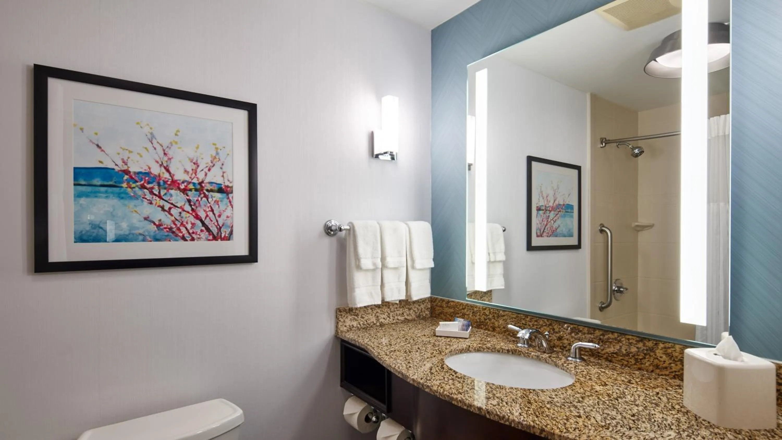 Bathroom in Hilton Garden Inn Merrillville