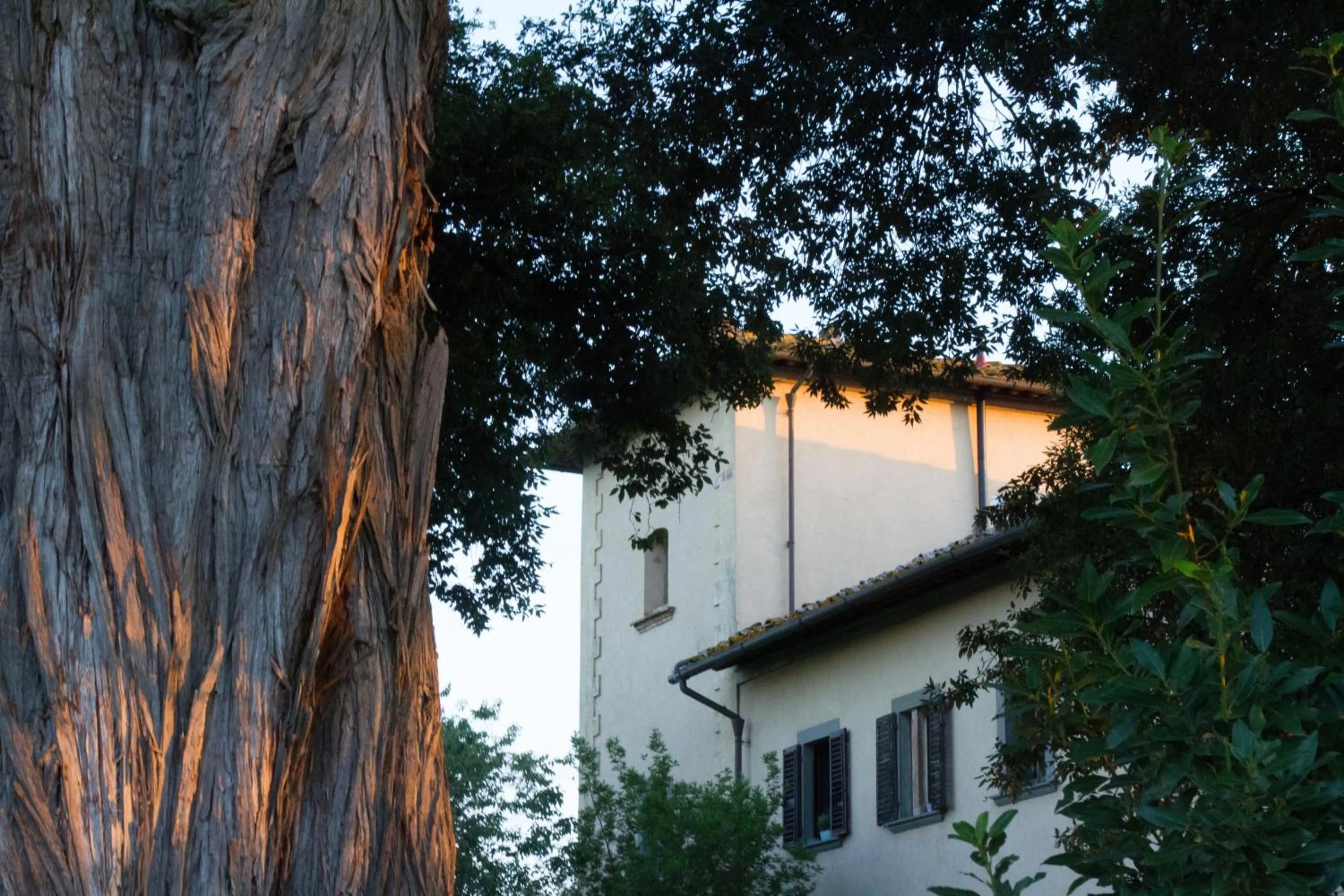 Property building in Villa Fillinelle