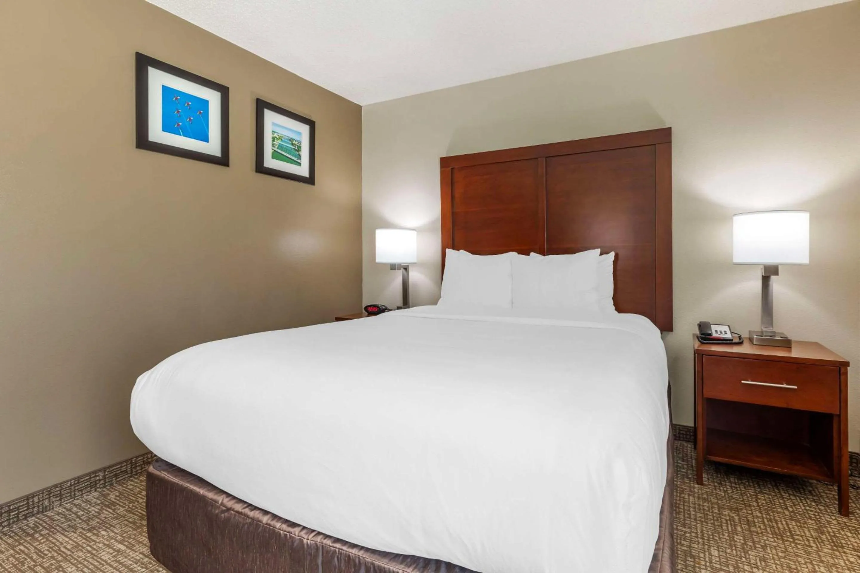 Bedroom, Bed in Comfort Inn & Suites Temple - Medical Center