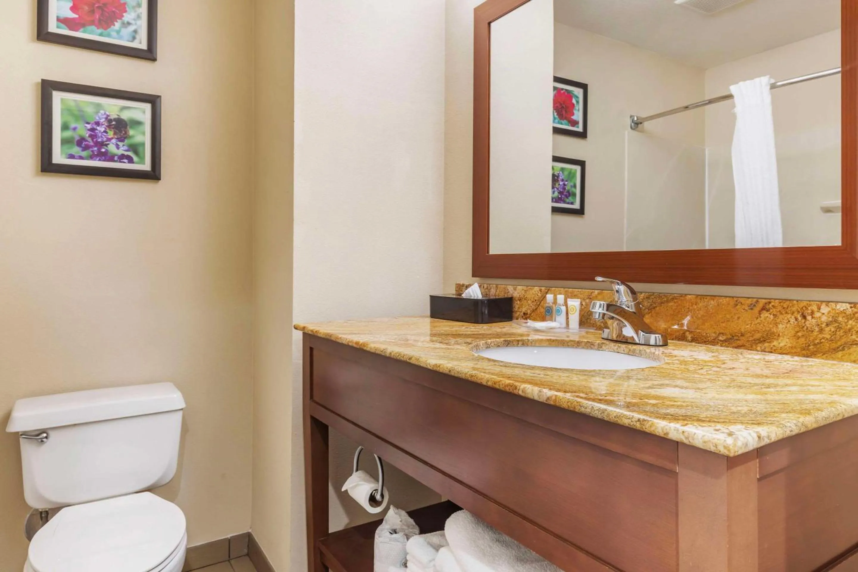 Bedroom in Comfort Inn & Suites Temple - Medical Center