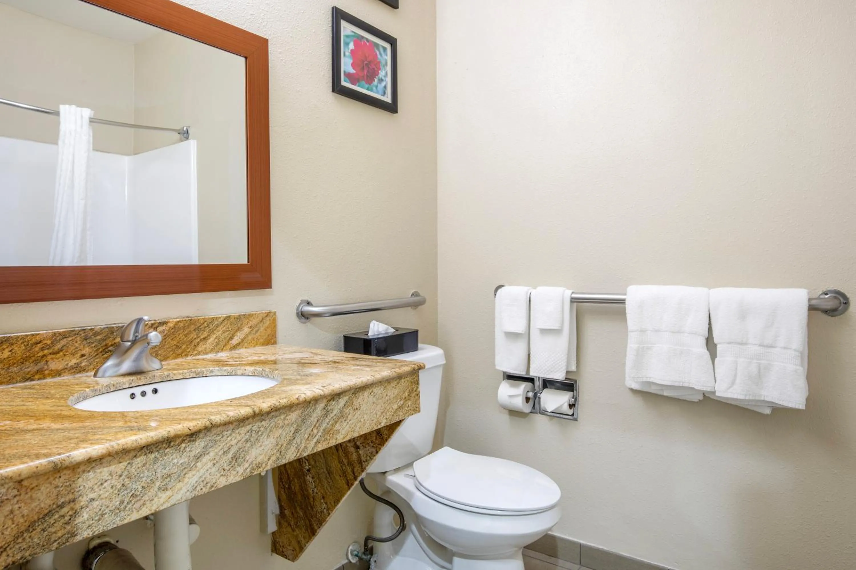 Toilet in Comfort Inn & Suites Temple - Medical Center