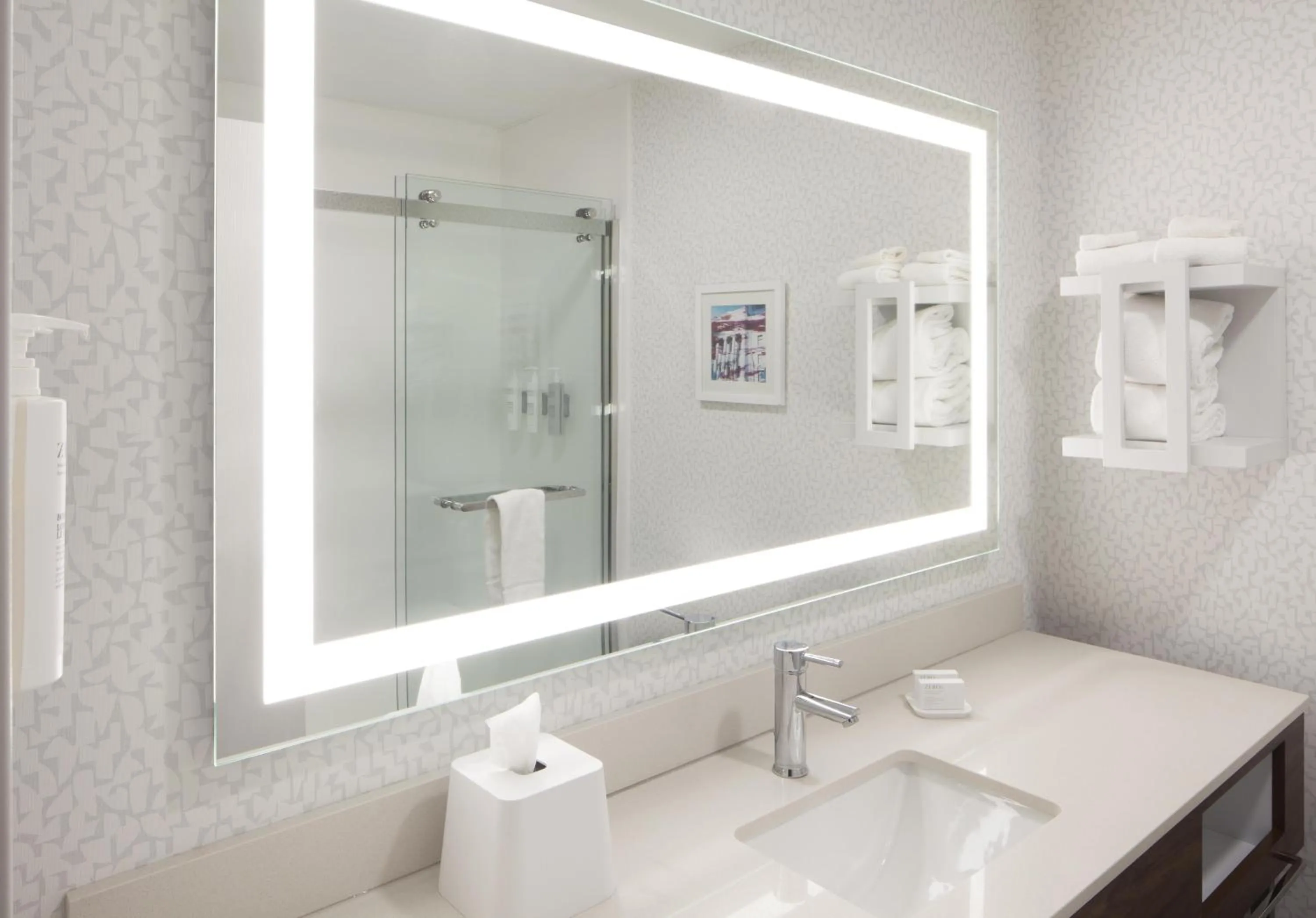 Bathroom in Hampton Inn Youngstown/Boardman