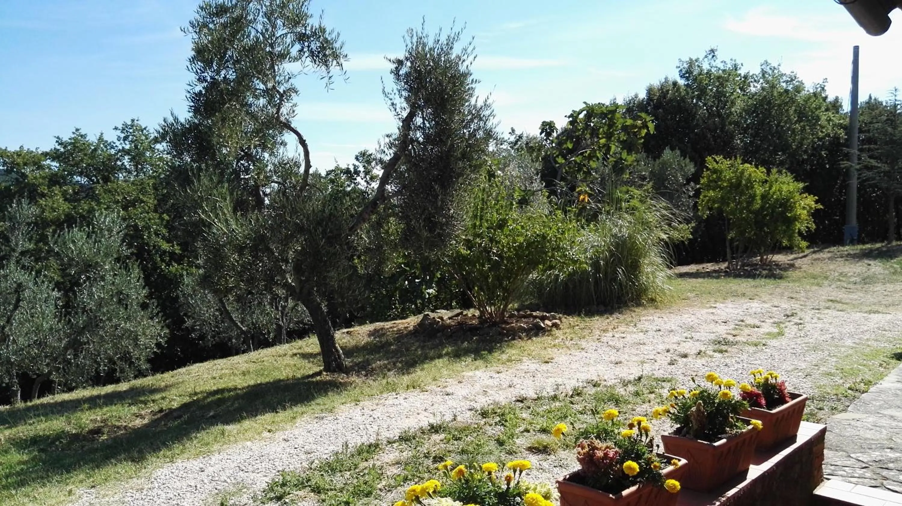 Property building in Colombaio In Colle