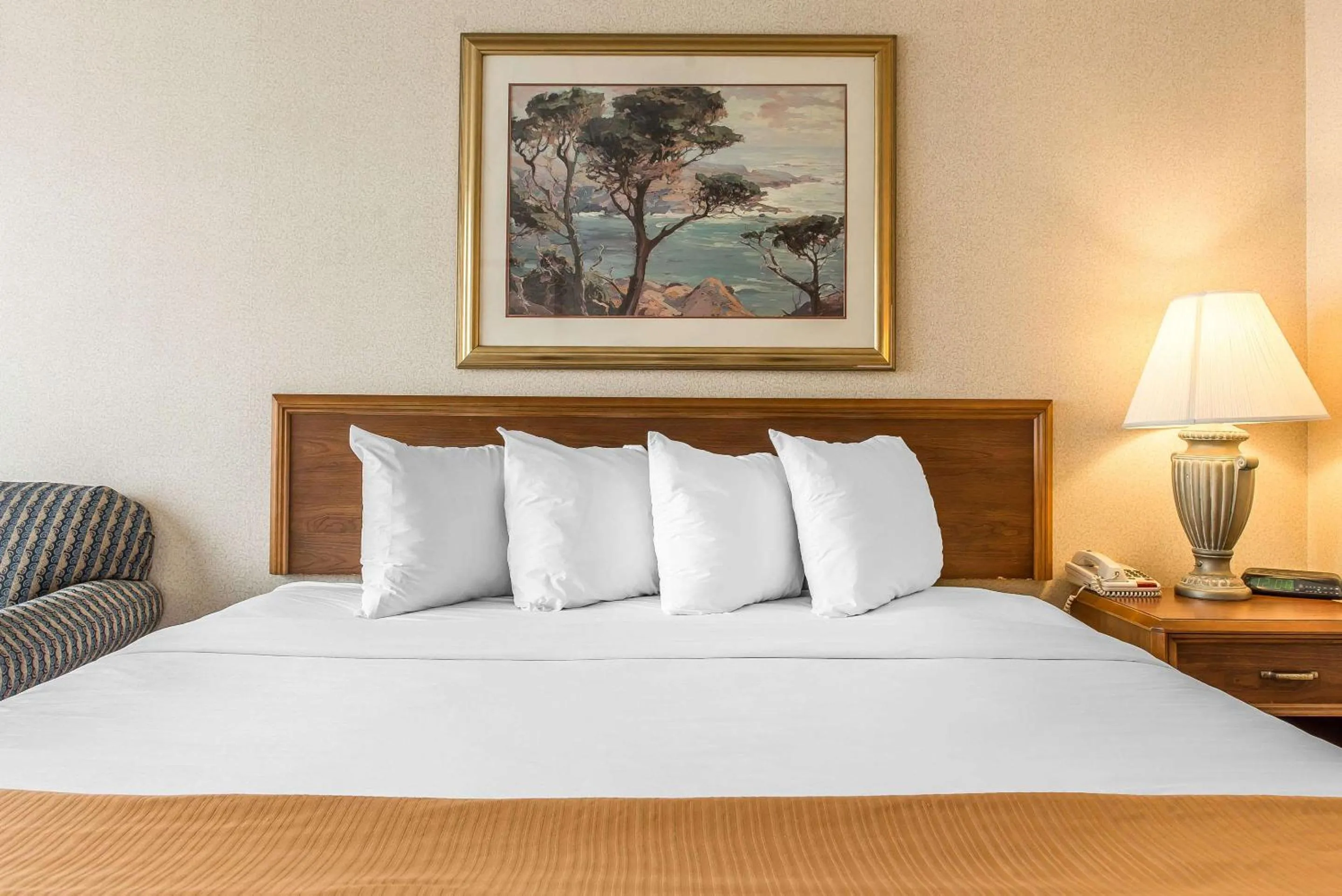 Photo of the whole room, Bed in Quality Inn and Conference Center