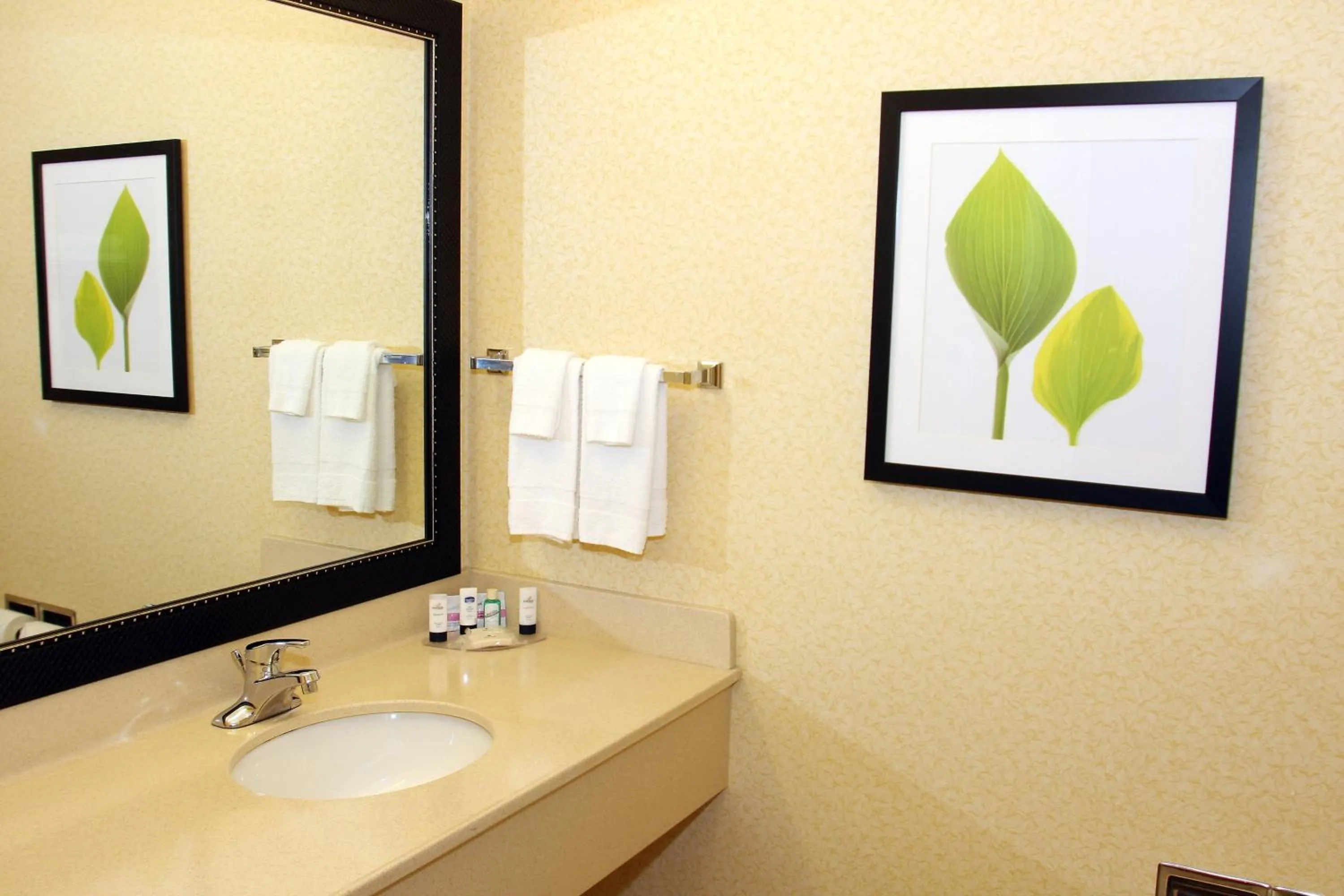 Bathroom in Fairfield Inn and Suites by Marriott Marion