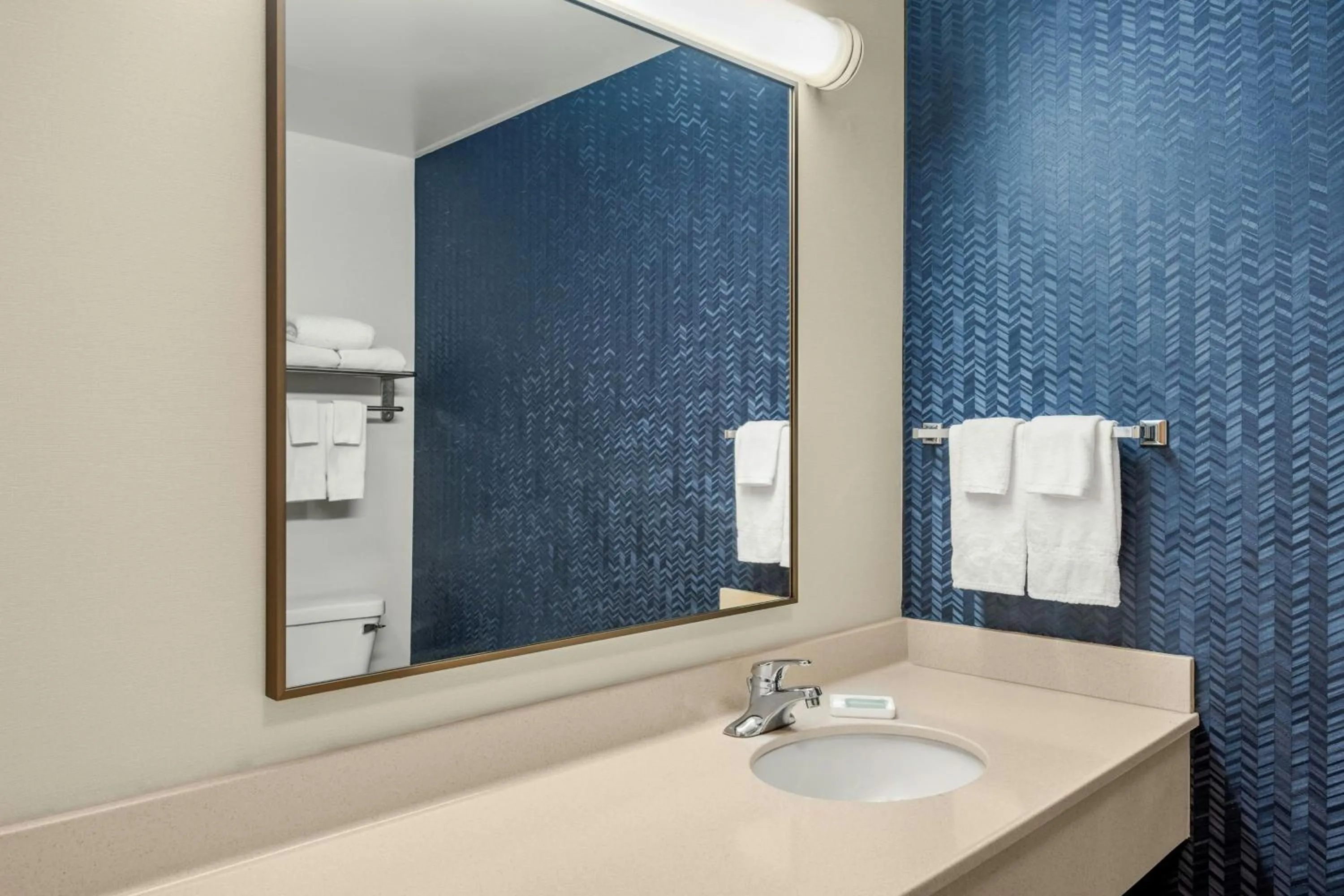 Bathroom in Fairfield Inn and Suites by Marriott Marion