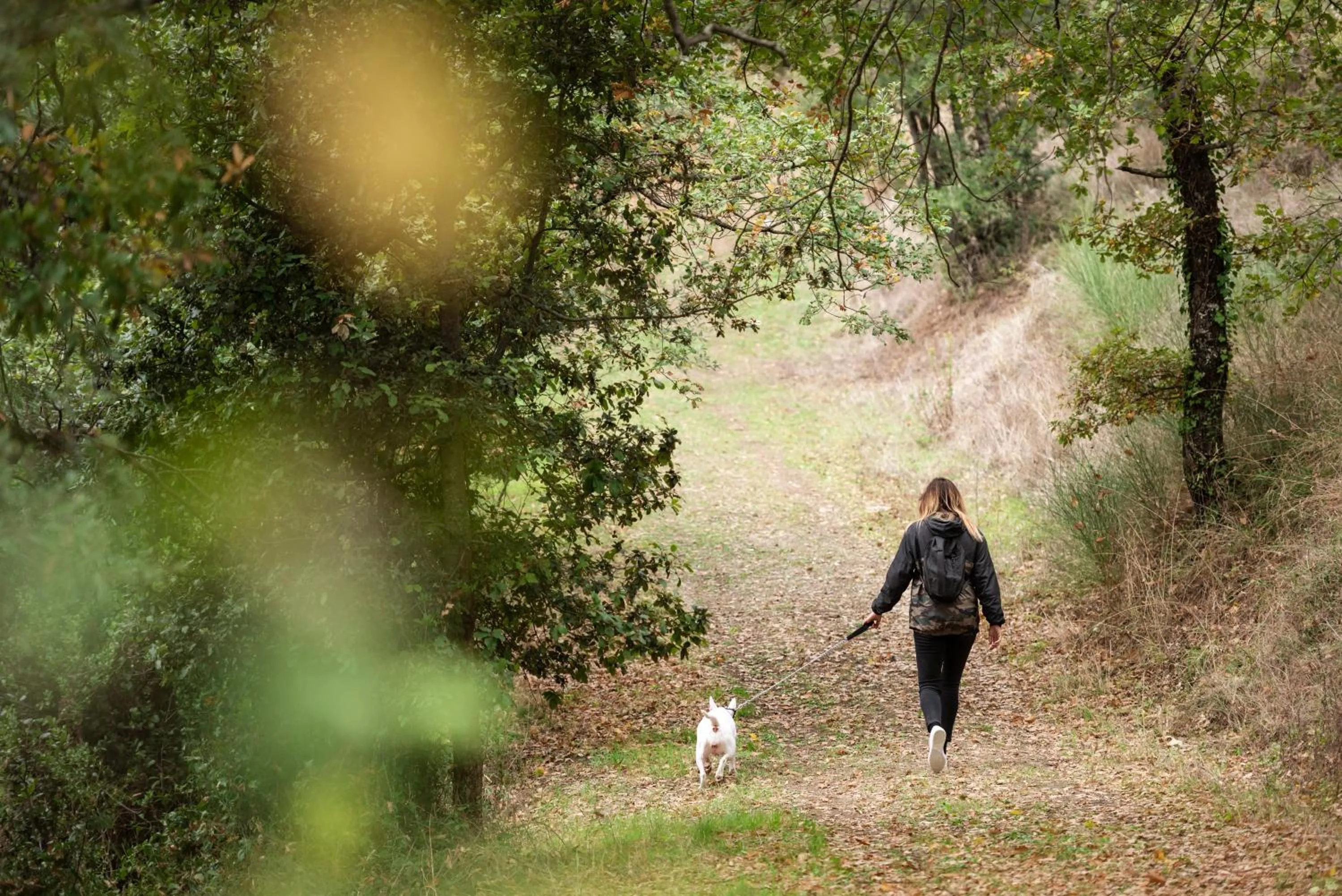 Natural landscape in Antico Casale Di Scansano Resort