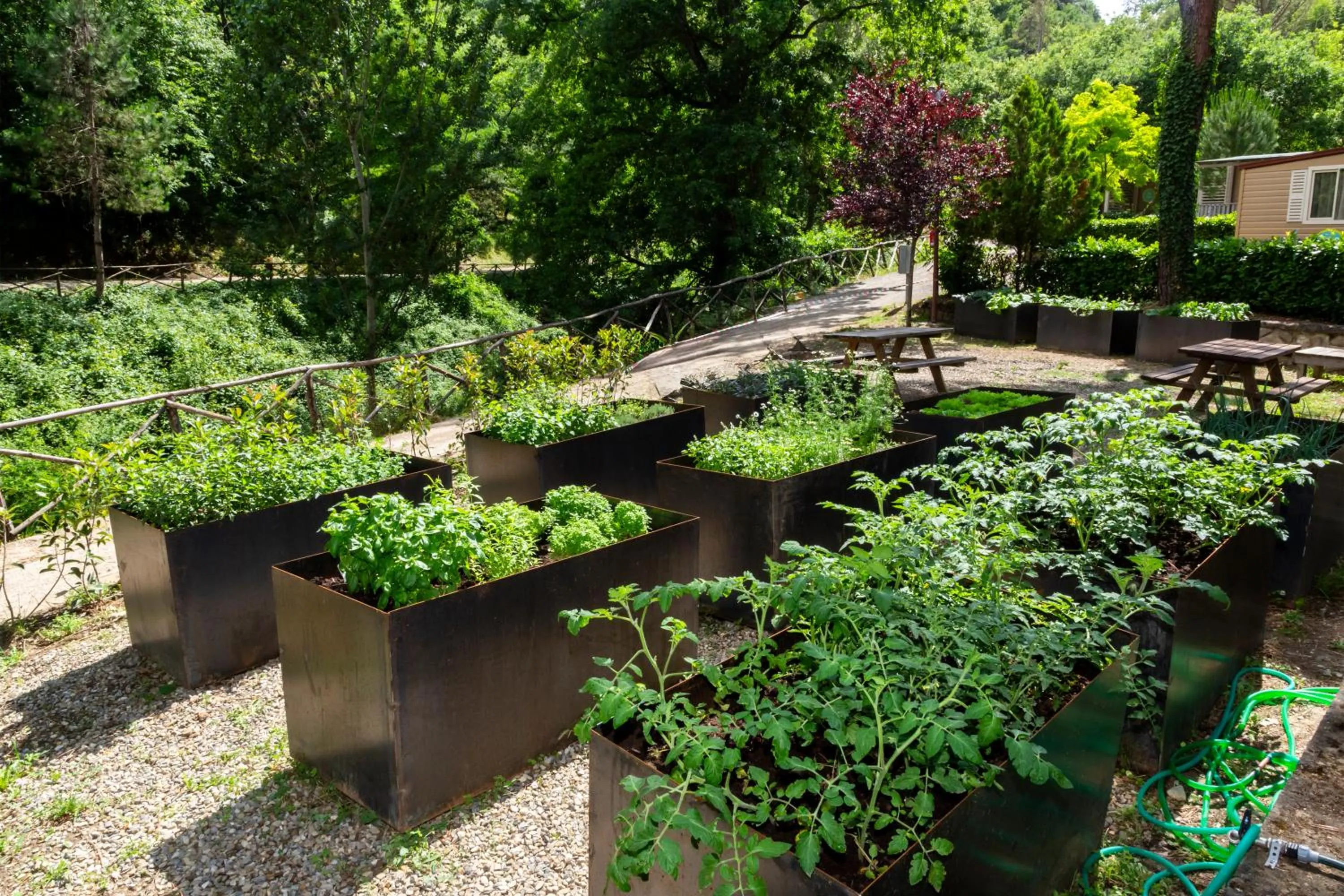 hu Norcenni Girasole village