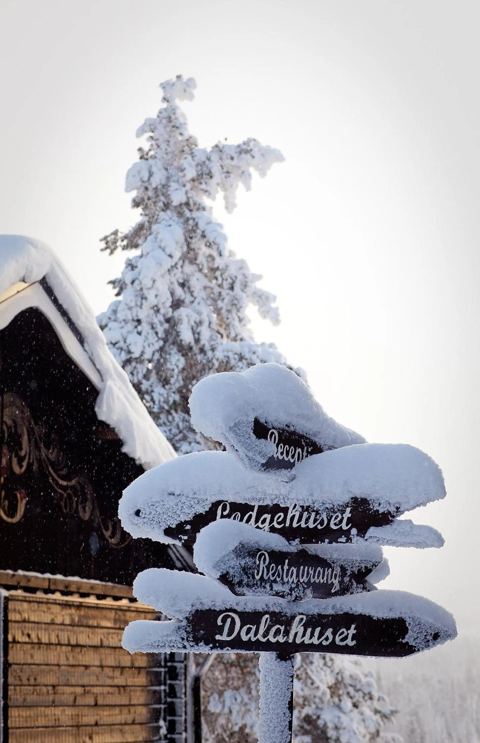 Facade/entrance in Gammelgården