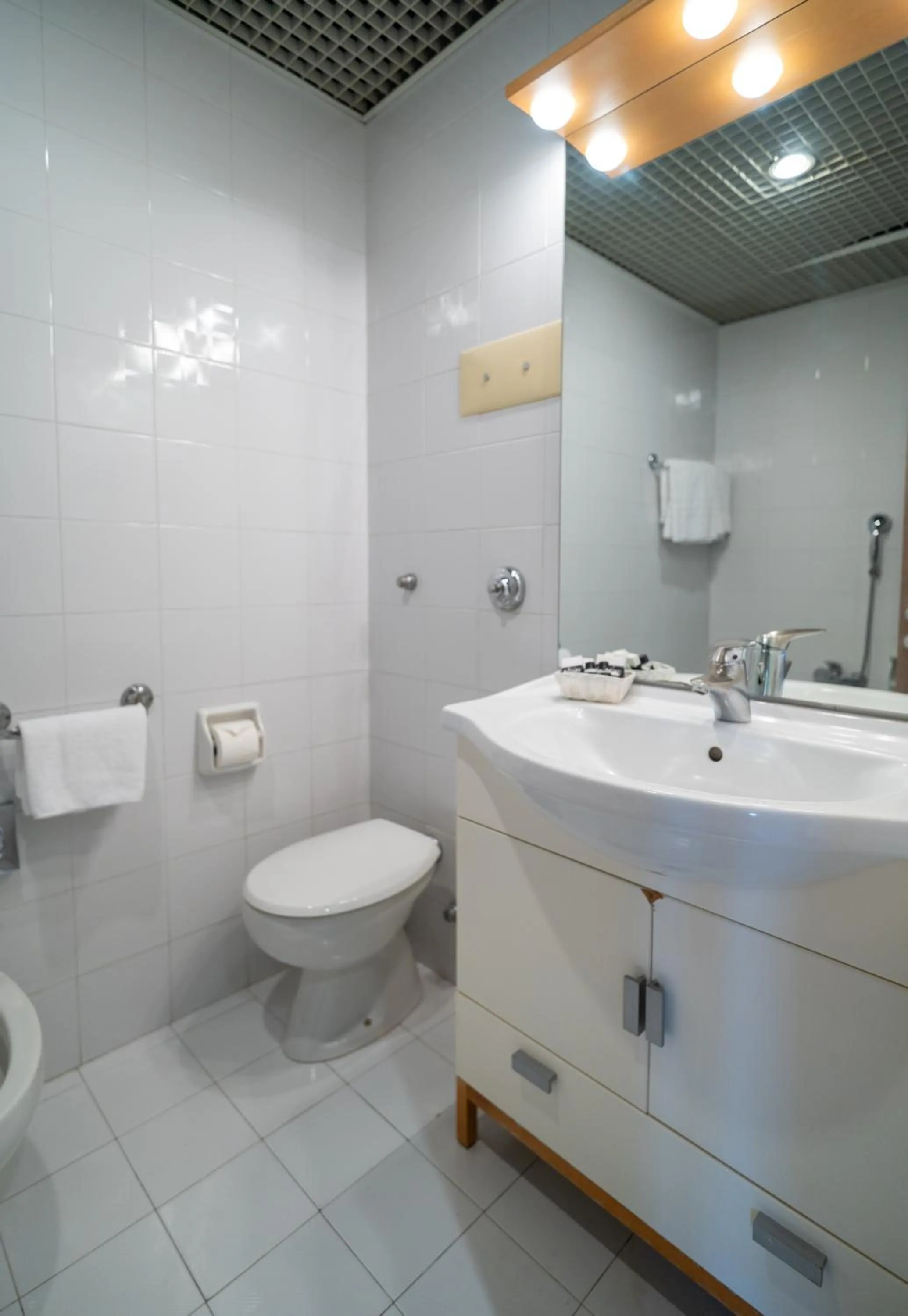 Toilet in Hotel Donatello