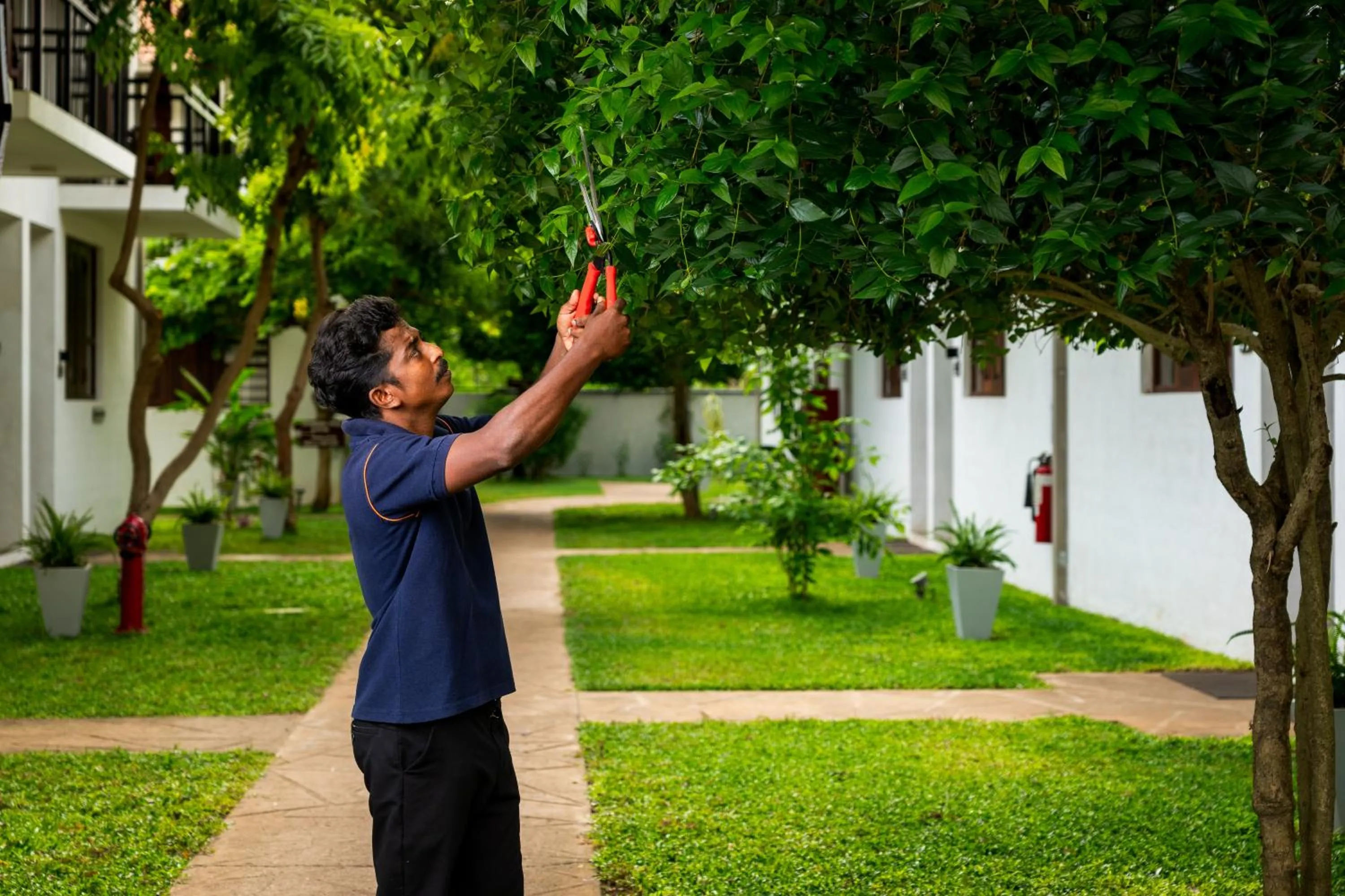 Property building in The Thinnai Hotel - Jaffna