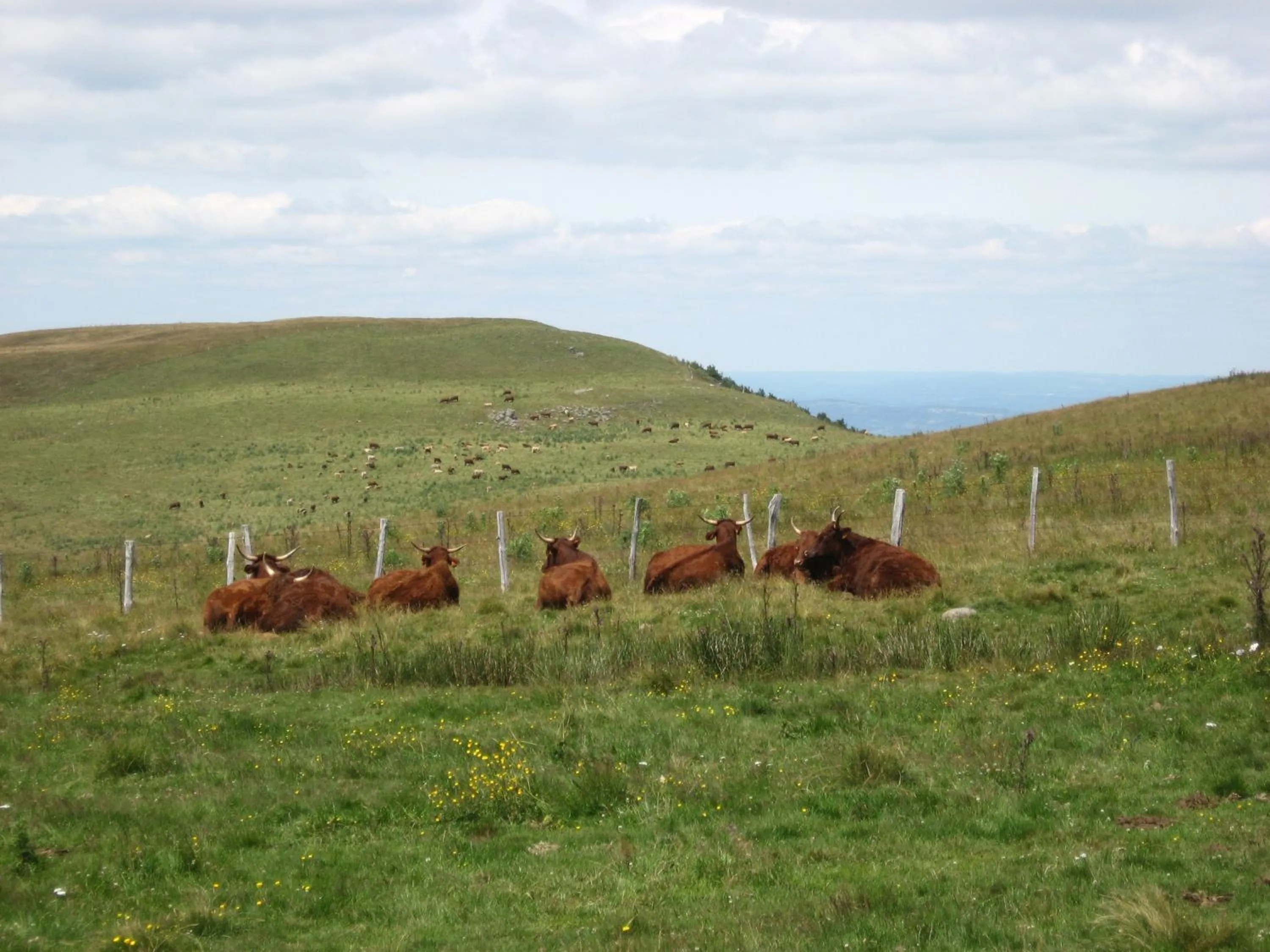 Hiking, Other Animals in Auv'hôtel