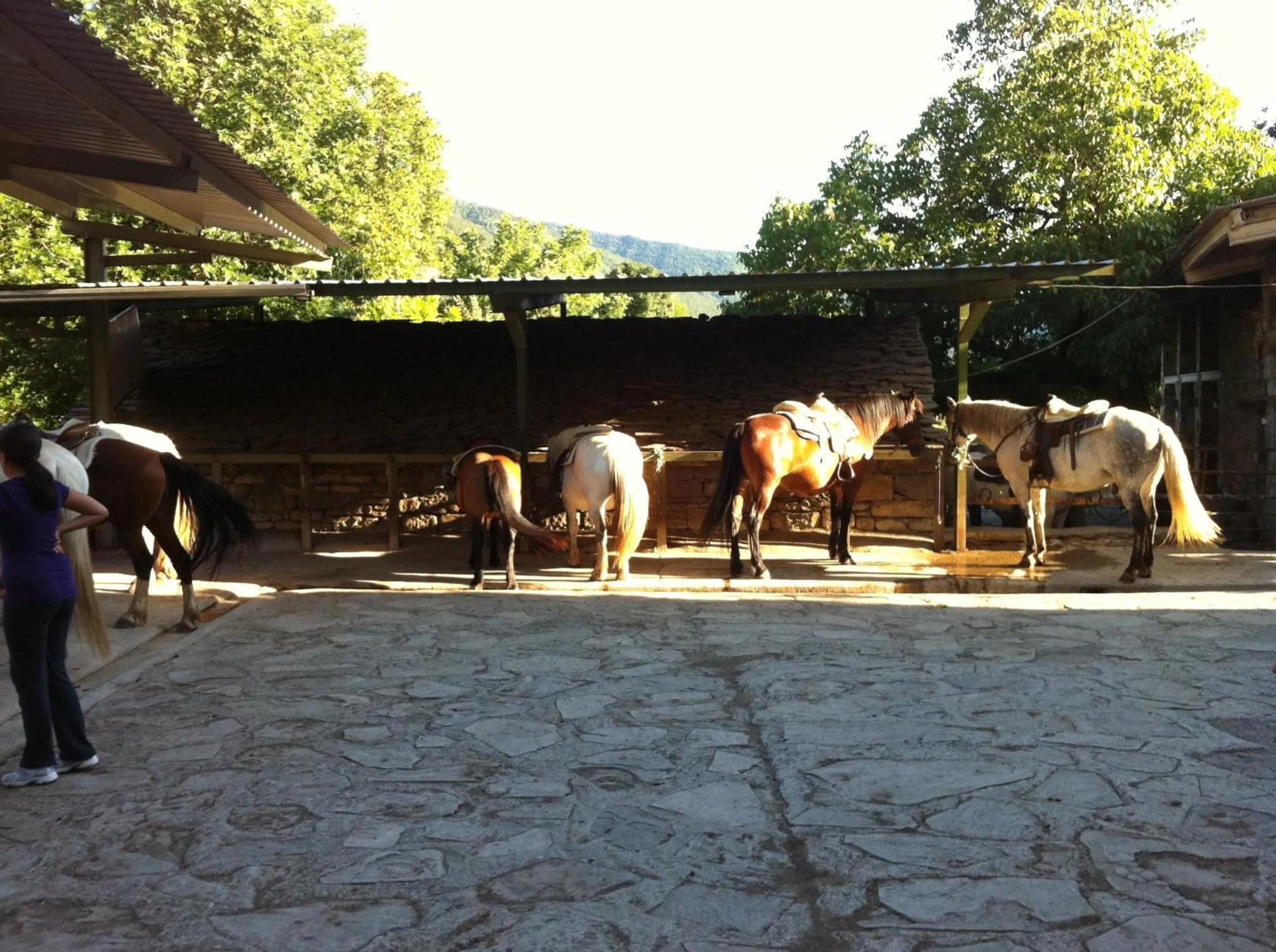 Horse-riding in Hotel Los Nogales