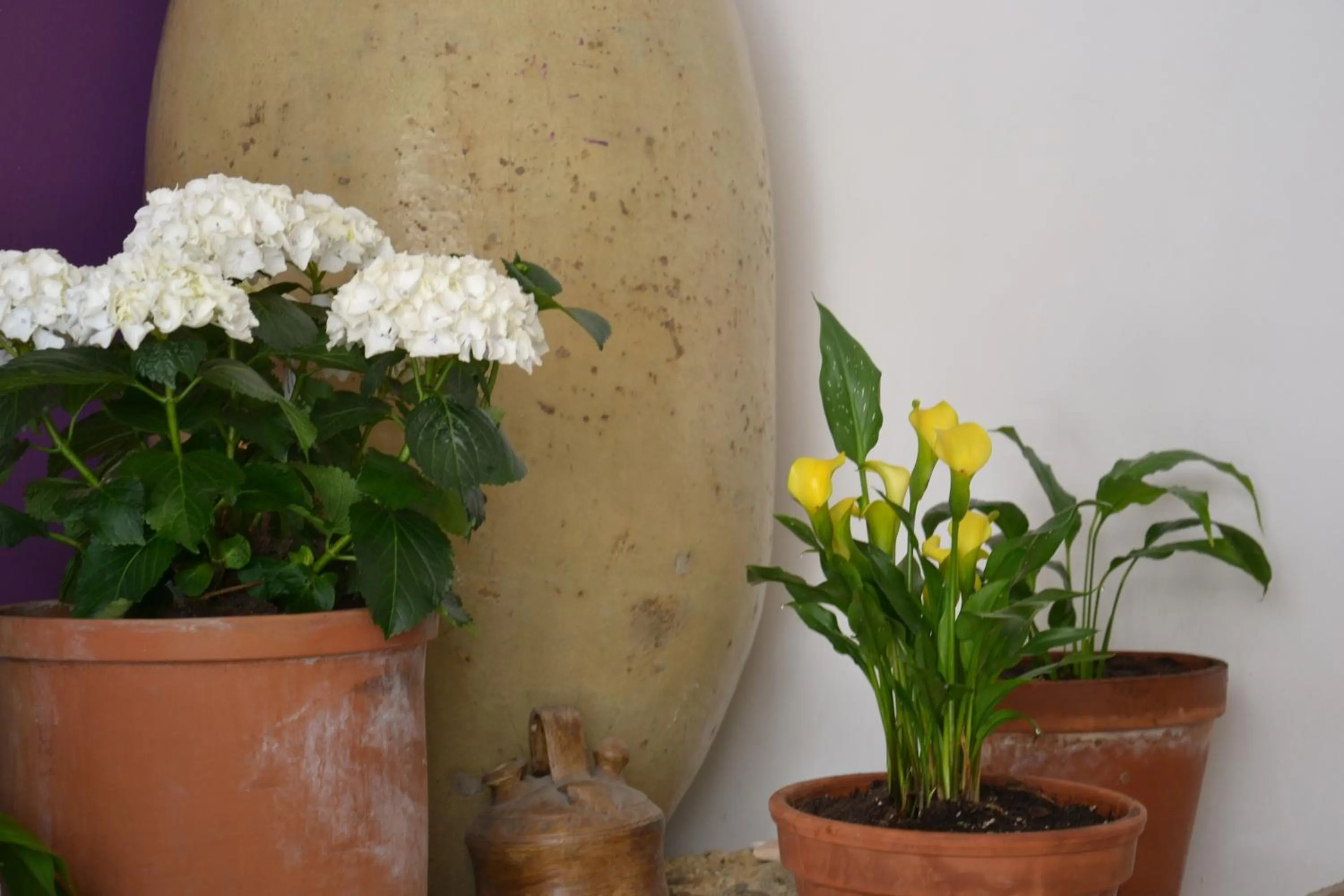 Lobby or reception in Hotel Balcón de Cazorla