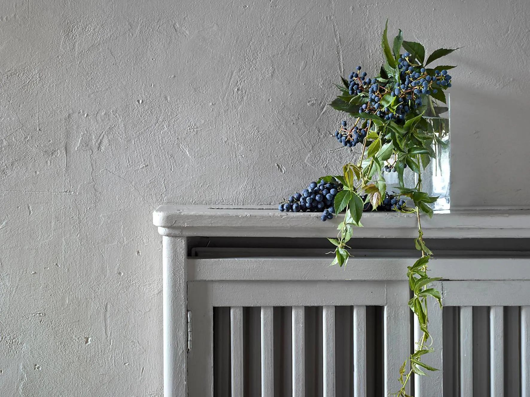 Area and facilities in Hotel La Romantica