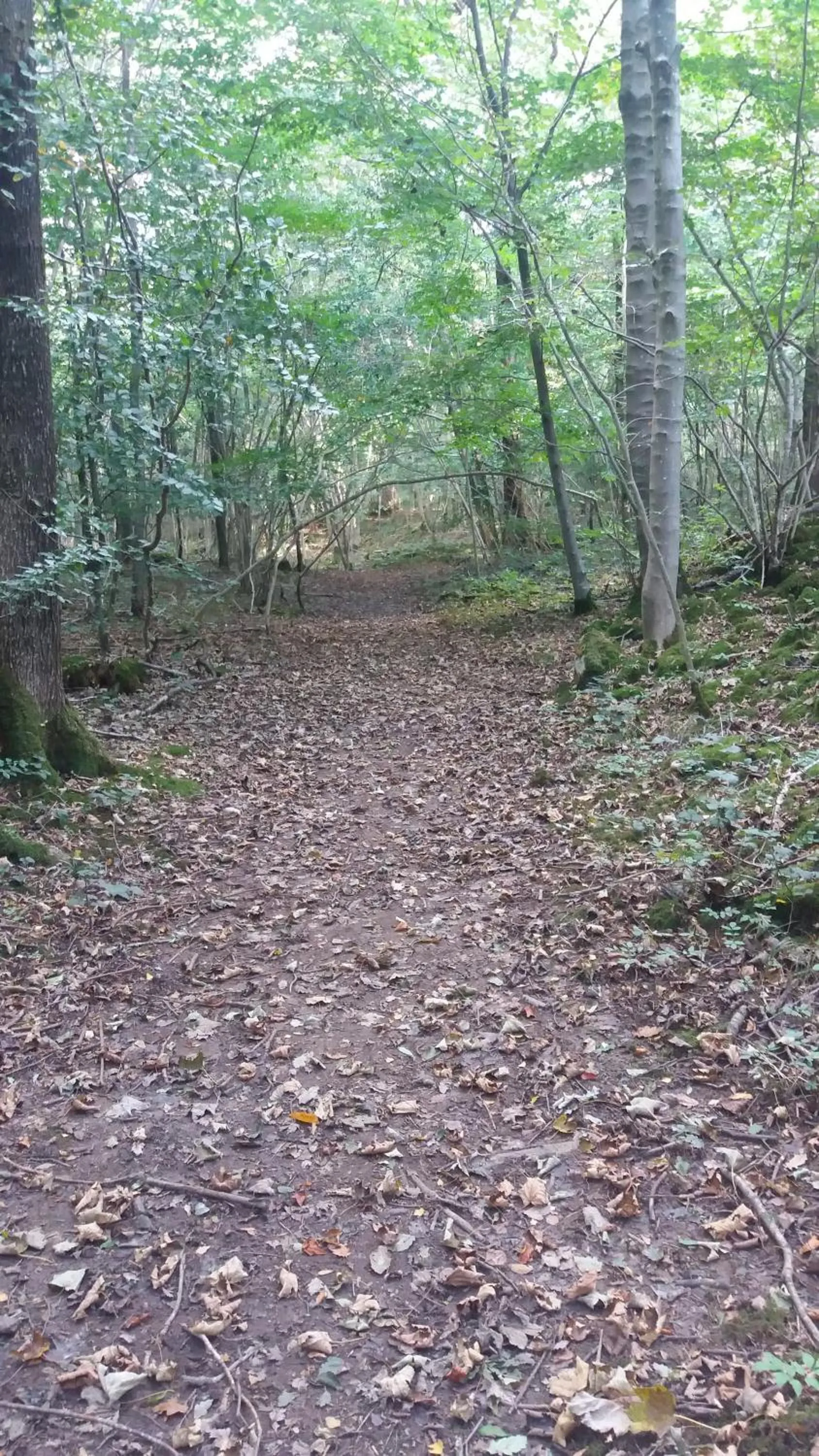 Hiking in Plumtree House