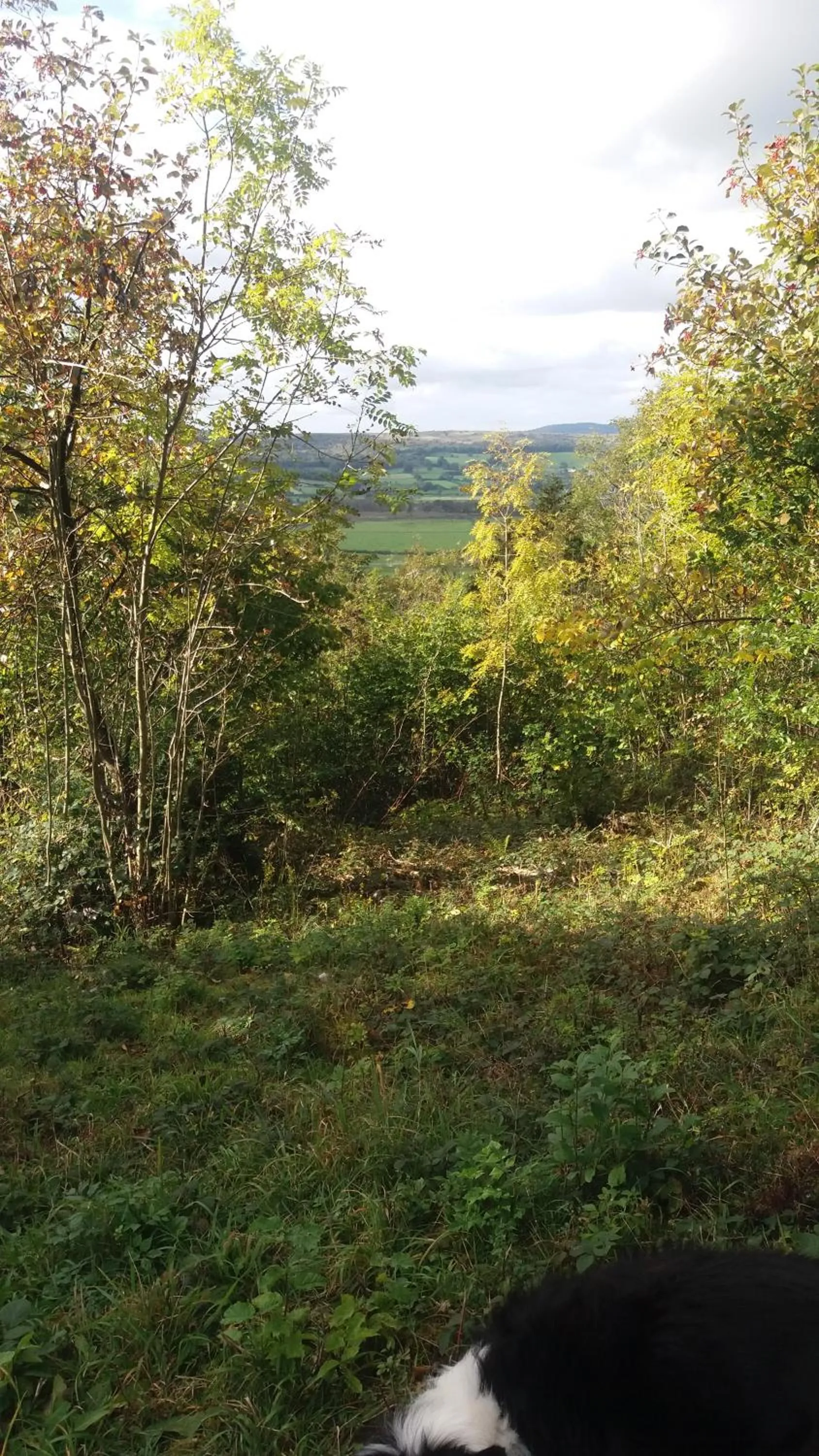 Hiking in Plumtree House