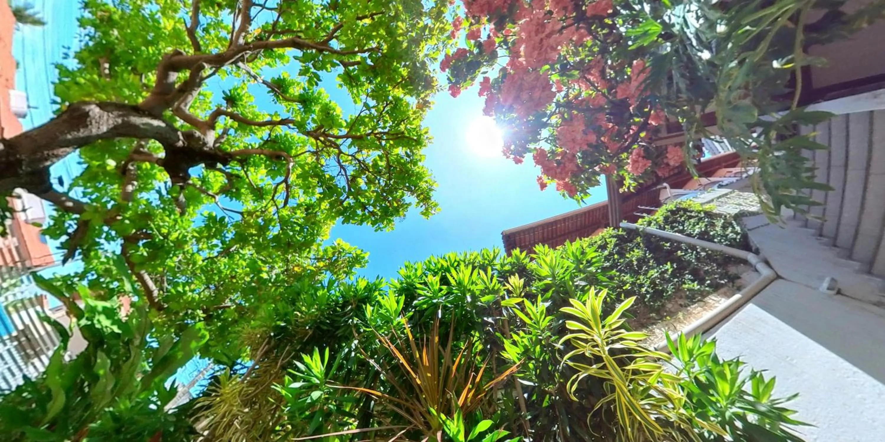 Garden in Pousada Mar e Brisa