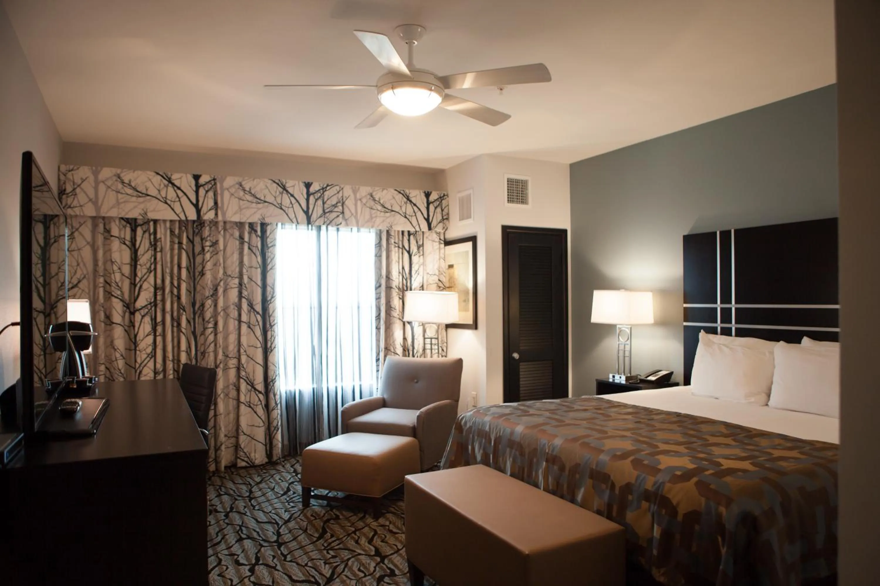 Day, Bed in La Quinta Inn & Suites by Wyndham Lubbock Southwest