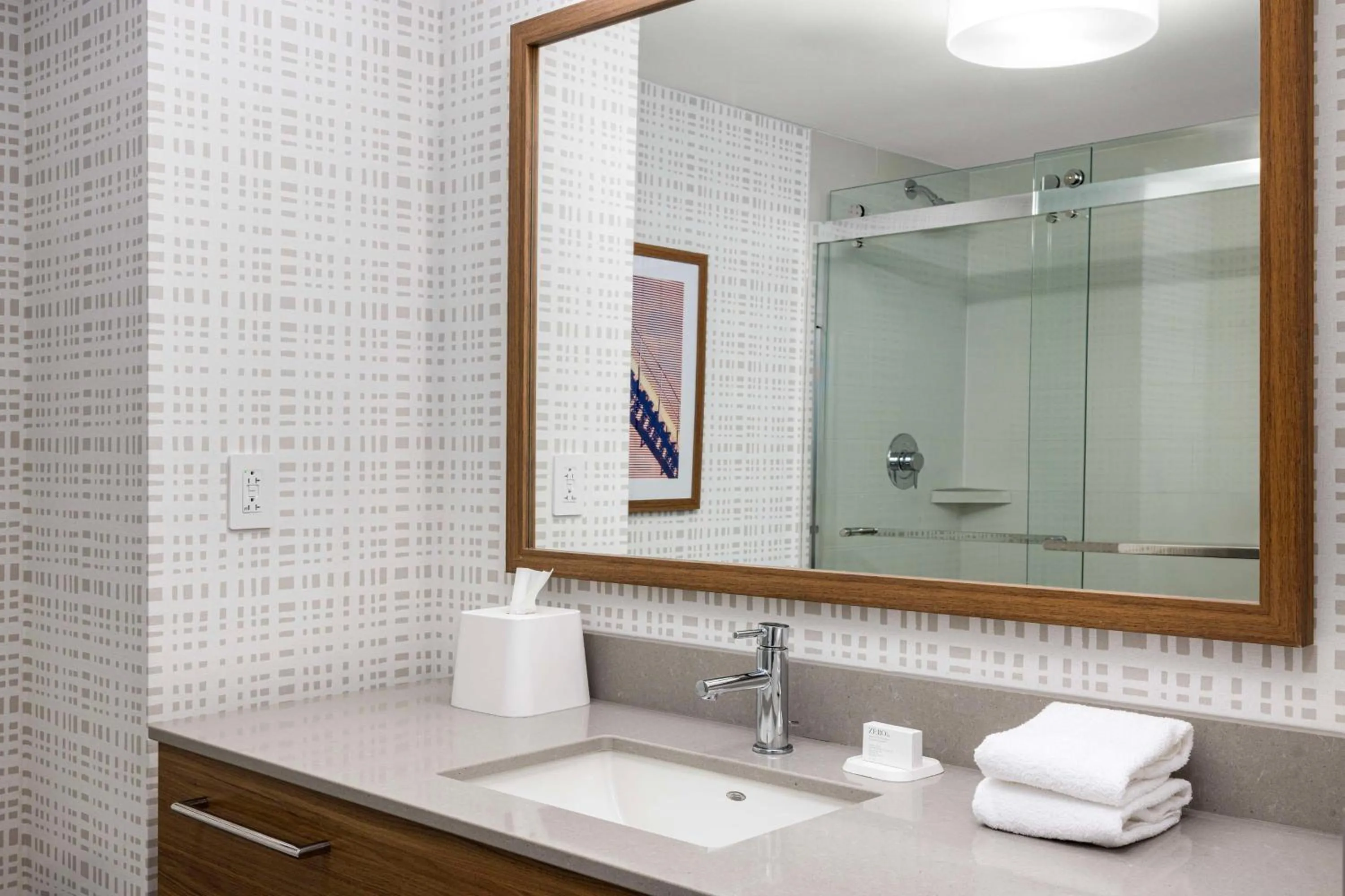 Bathroom in Hampton Inn & Suites Moline-Quad City Int'l Aprt