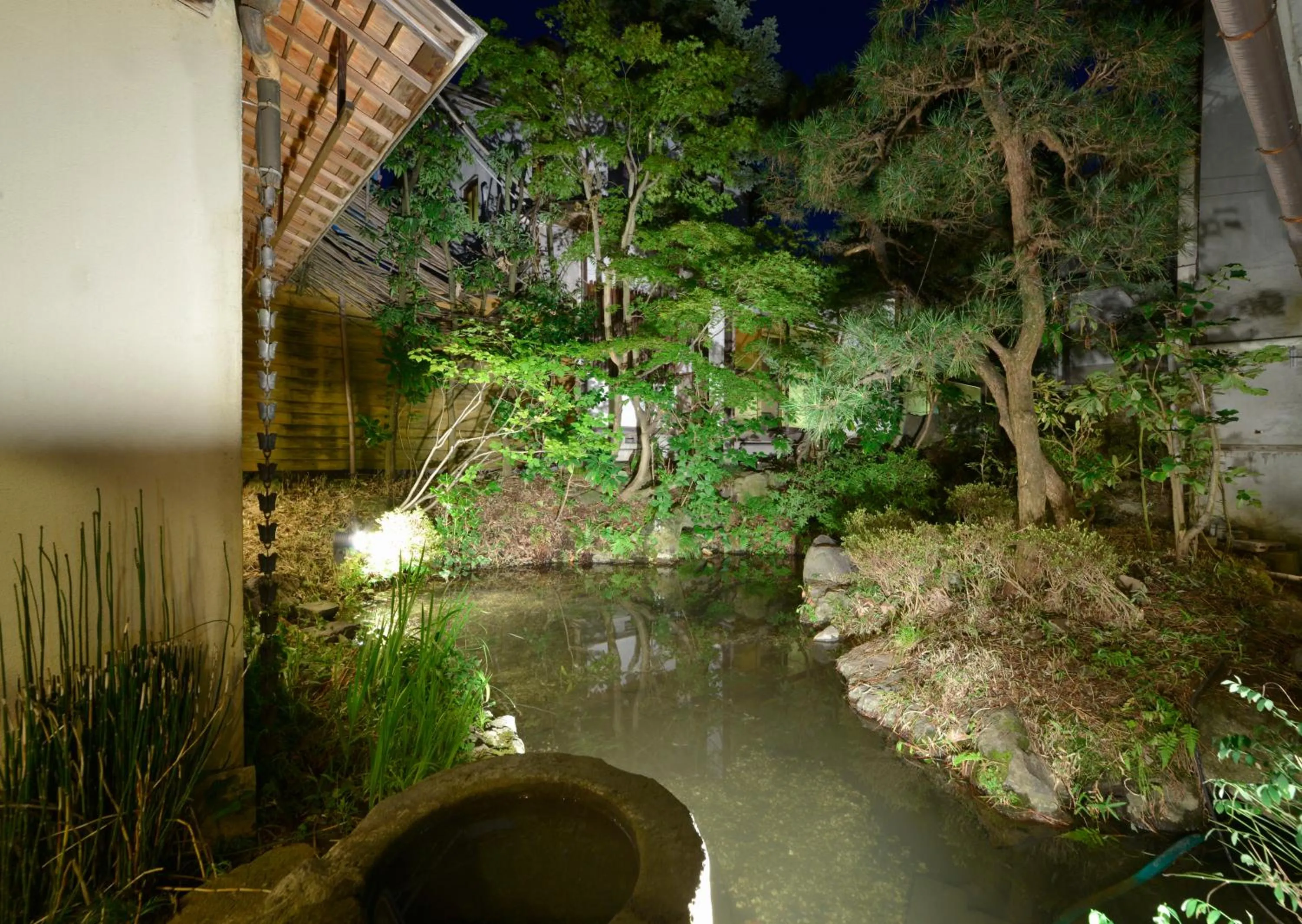 Garden in ZEN Hostel